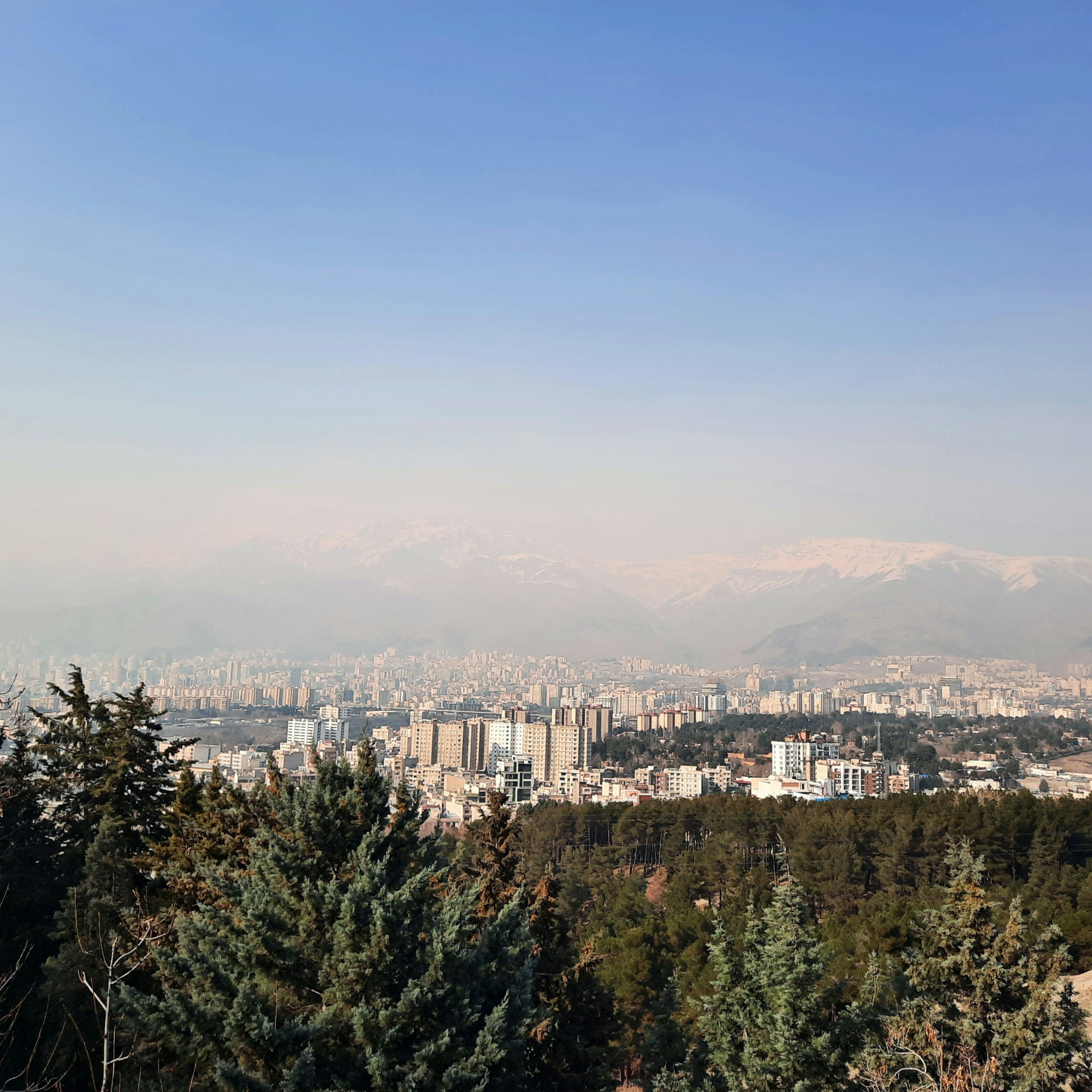 Photo by alireza_rostami