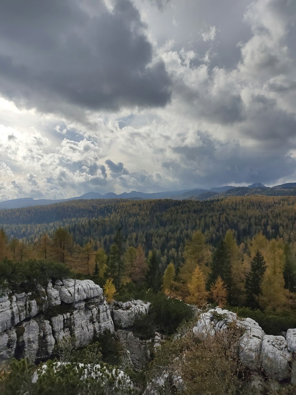 a scenic view of a forest with mountains in the background