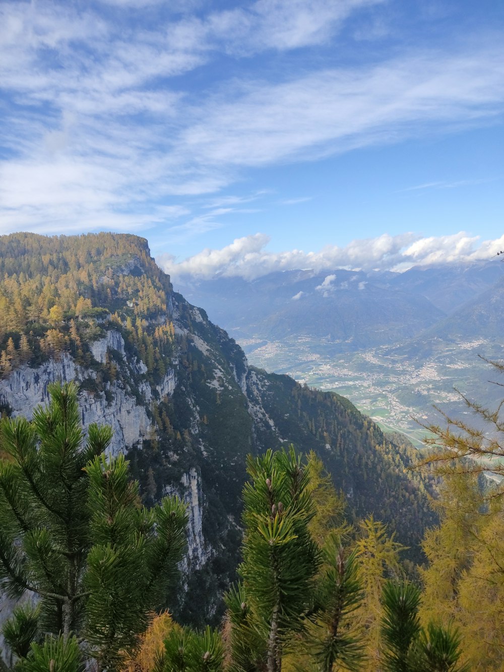 a scenic view of a mountain range with trees in the foreground