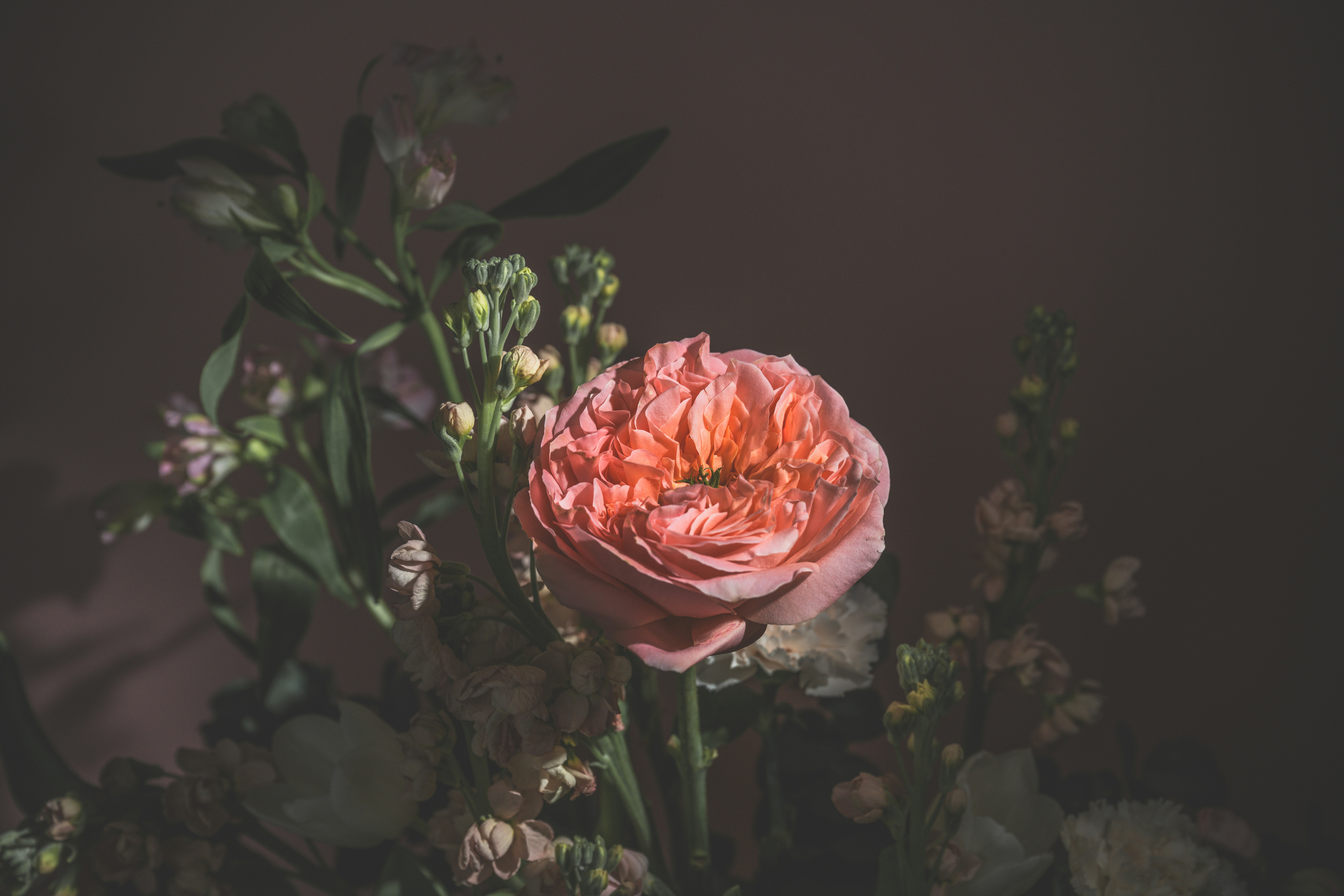 Photo by anitaaustvika