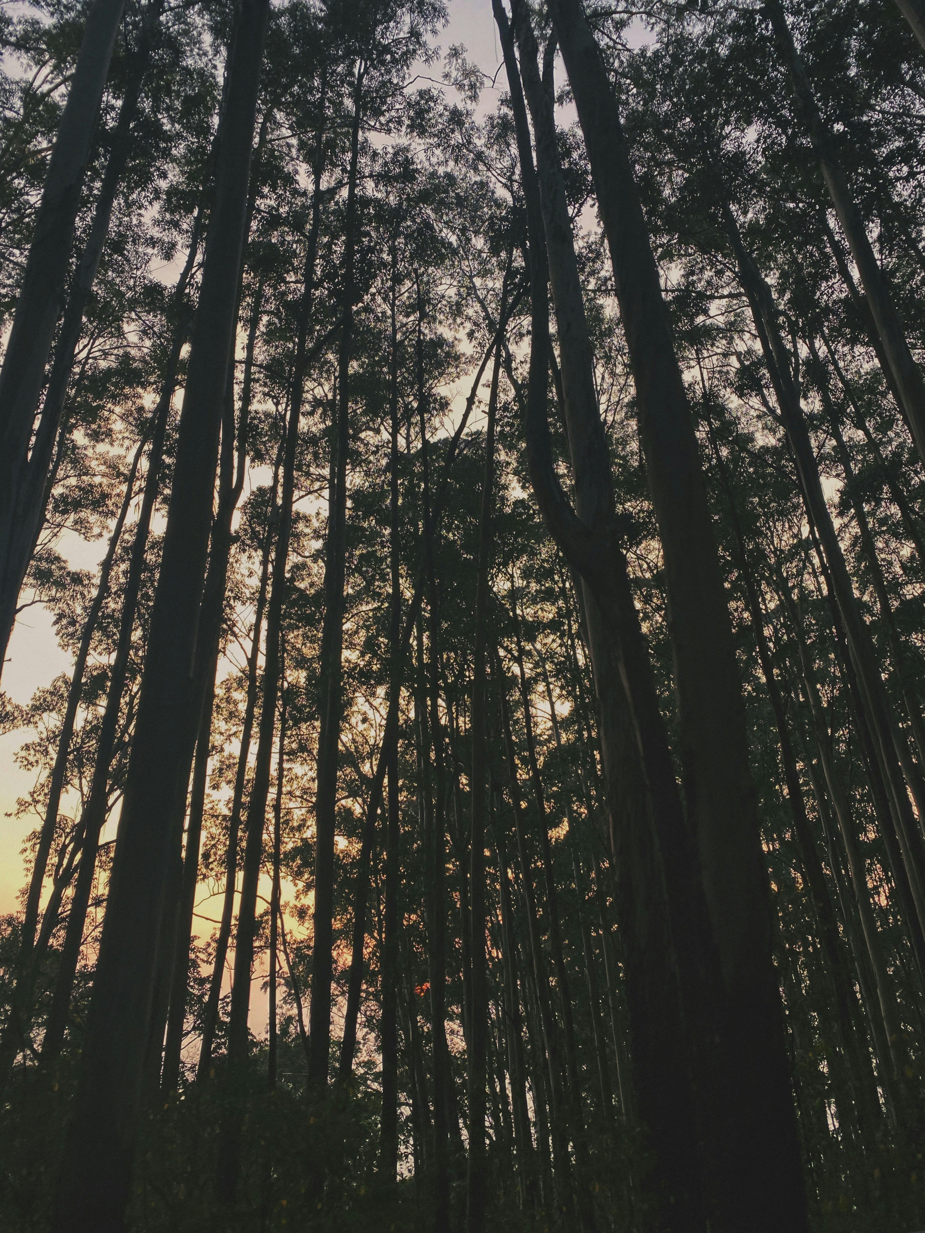 Photo by vshrutisaini