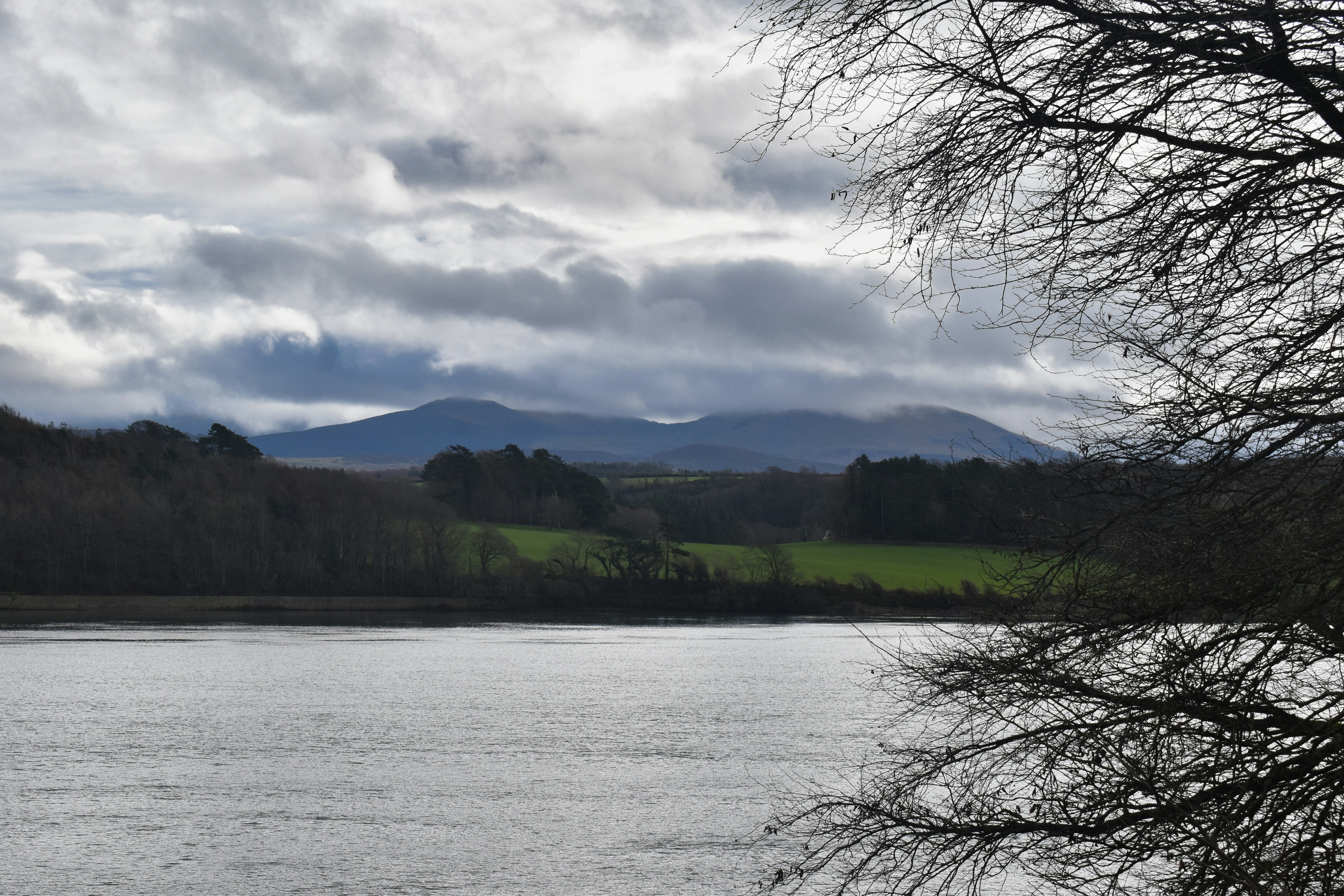 Photo by andrew_hall