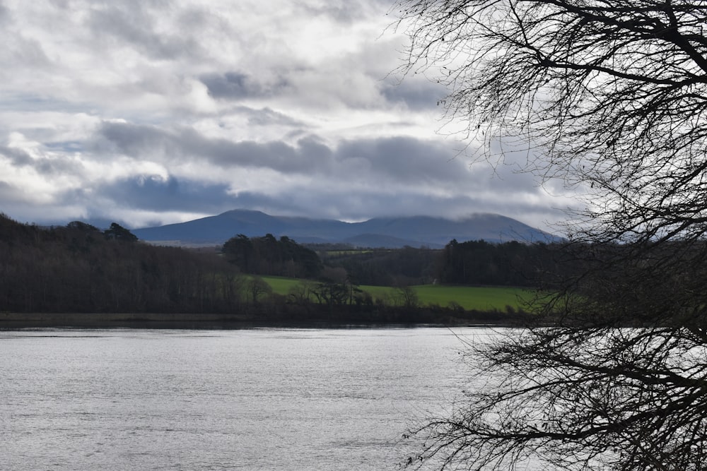 a body of water surrounded by trees and mountains