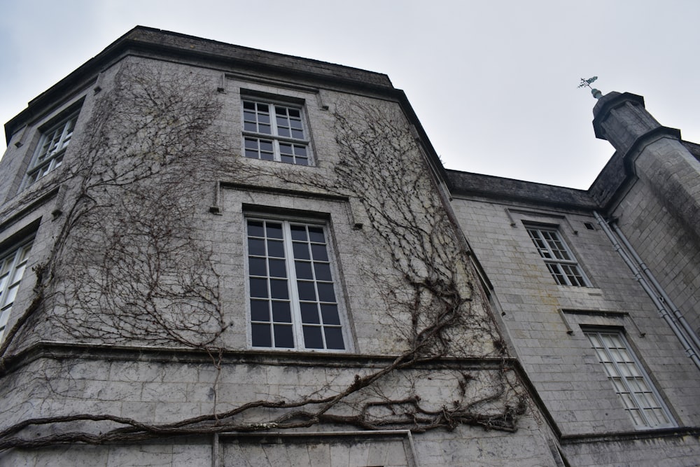 an old building with vines growing on it