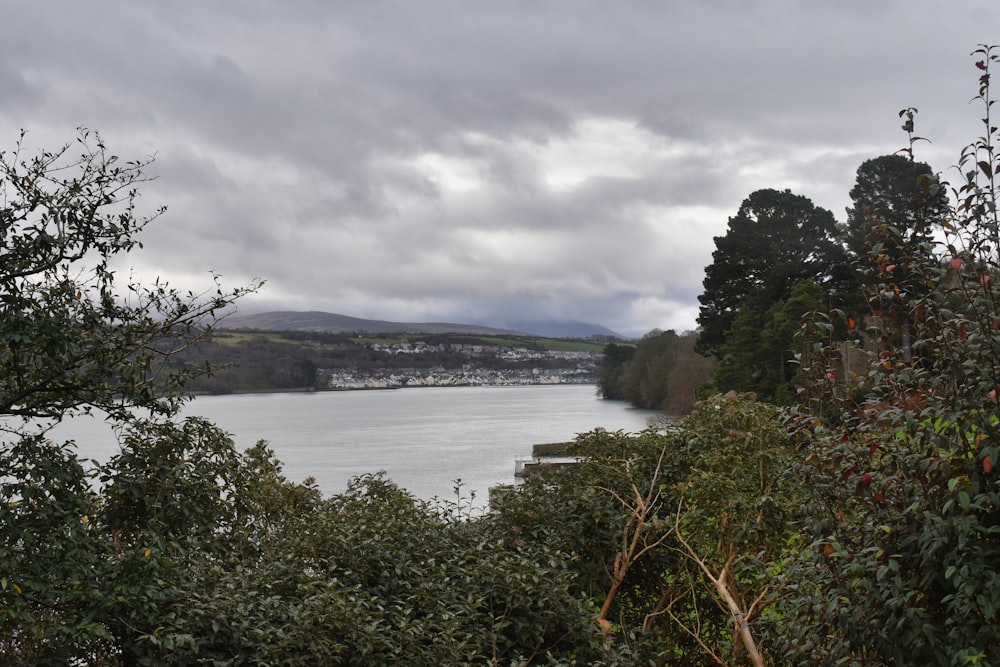 a body of water surrounded by trees on a cloudy day