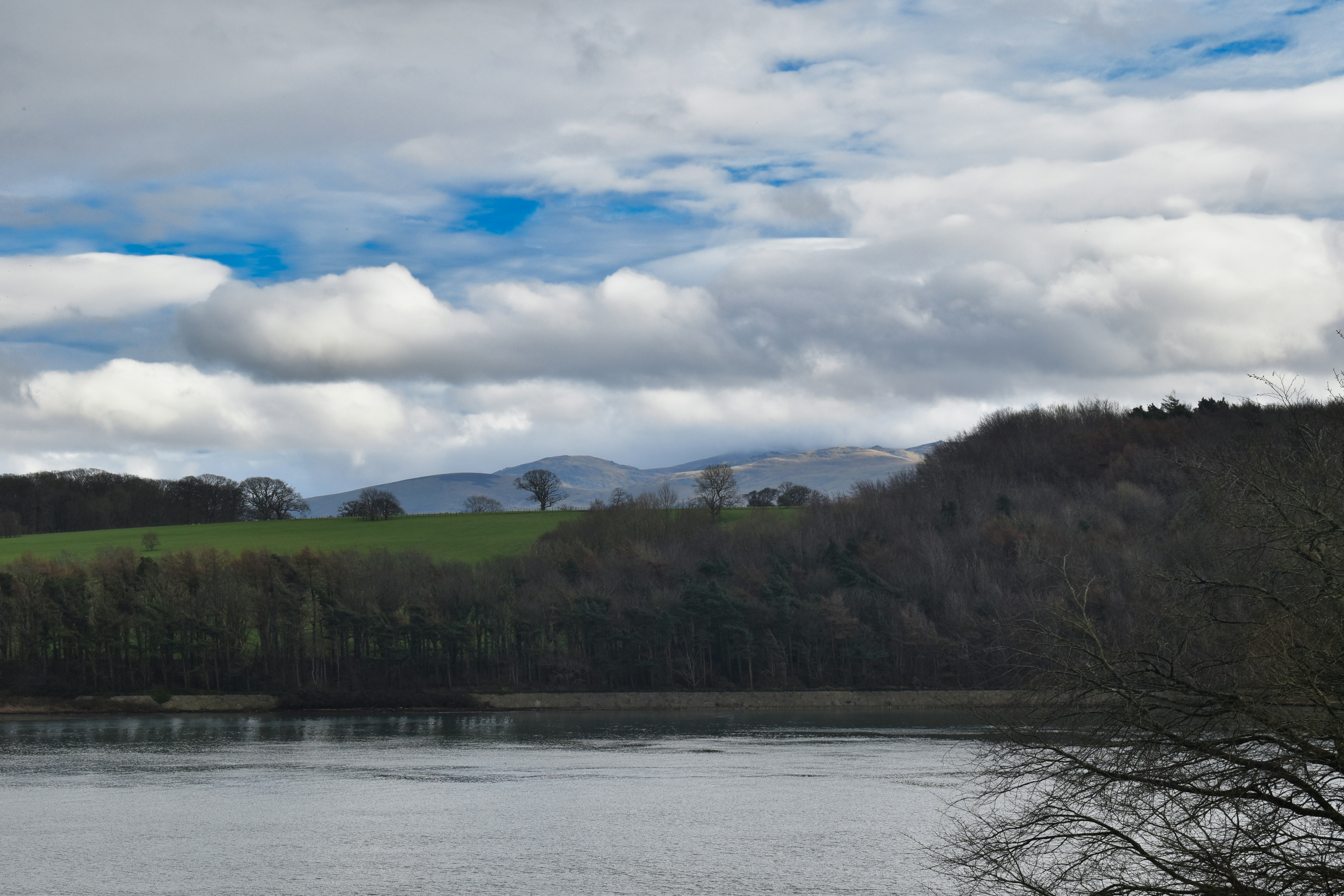 Photo by andrew_hall