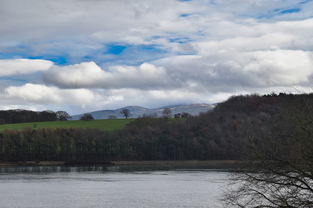 a large body of water surrounded by trees