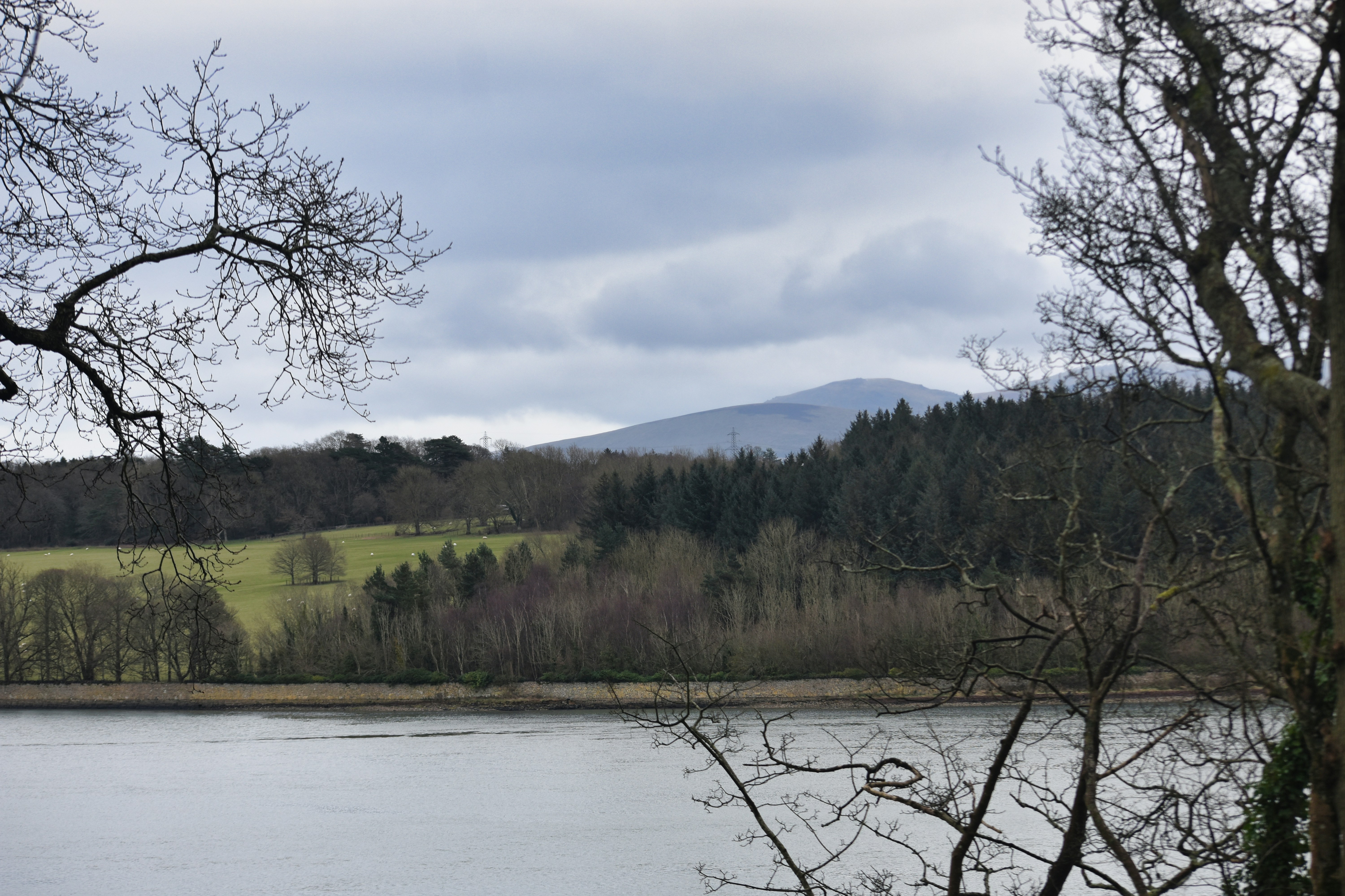 Photo by andrew_hall