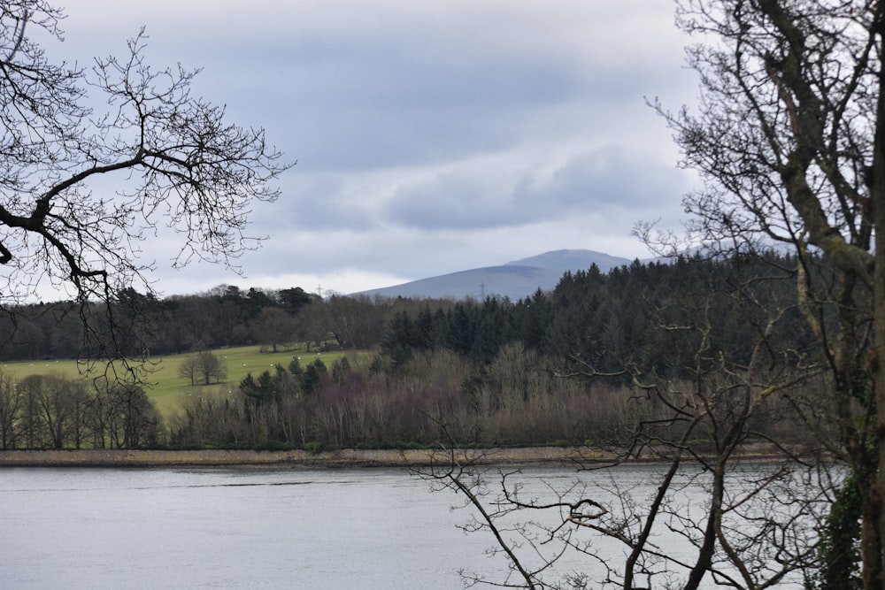 a body of water surrounded by trees and mountains