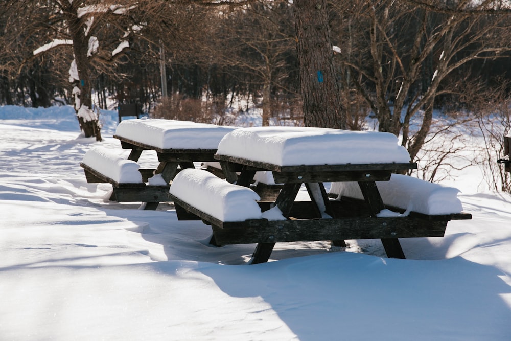 um grupo de bancos cobertos de neve em um parque
