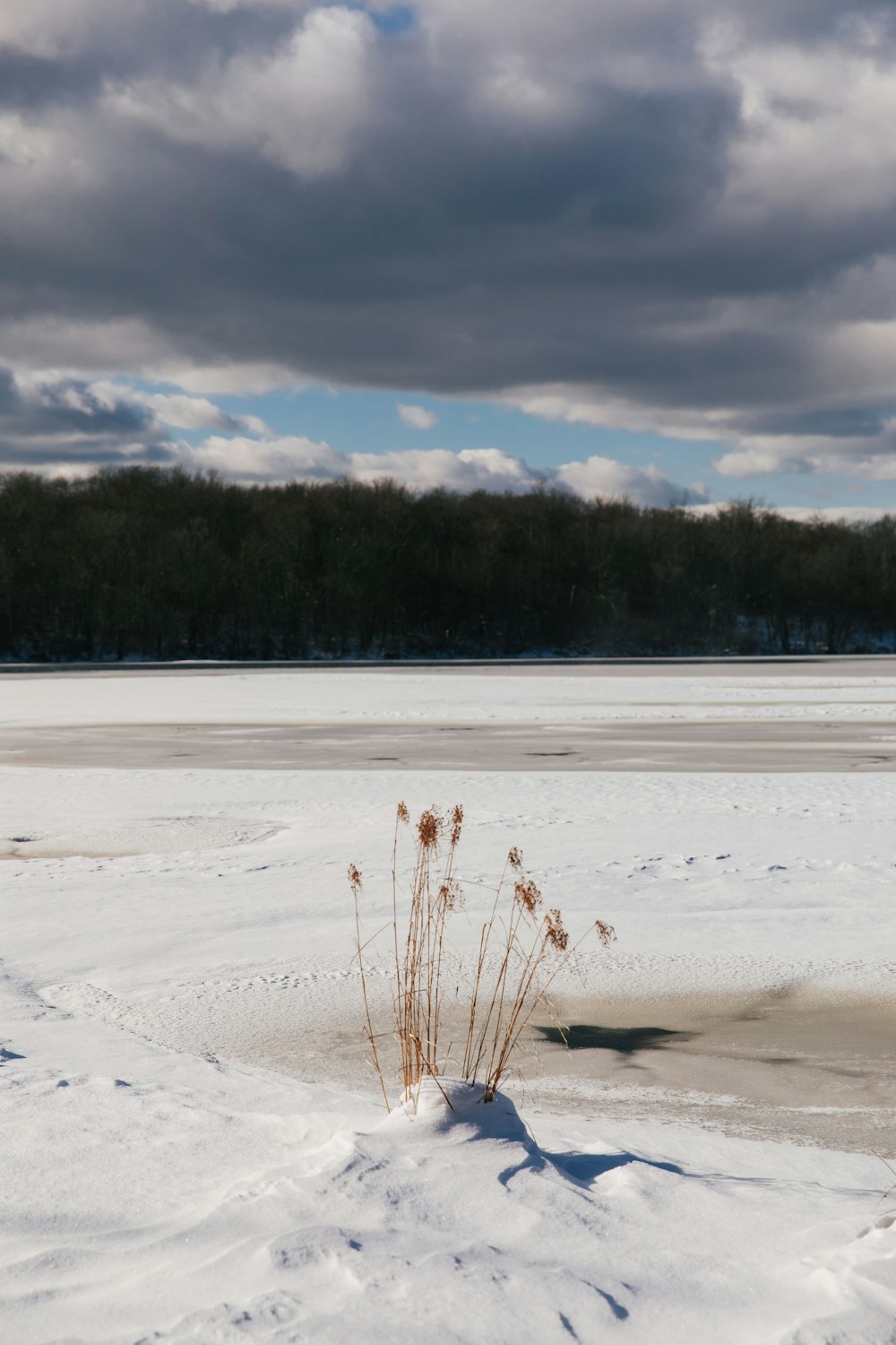 ein schneebedecktes Feld neben einem Gewässer