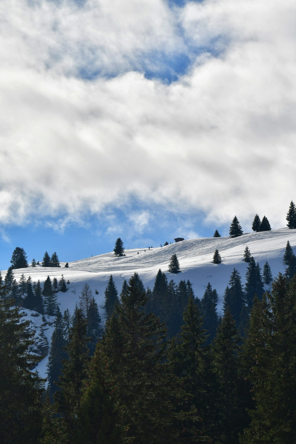 a snow covered mountain with trees on the side