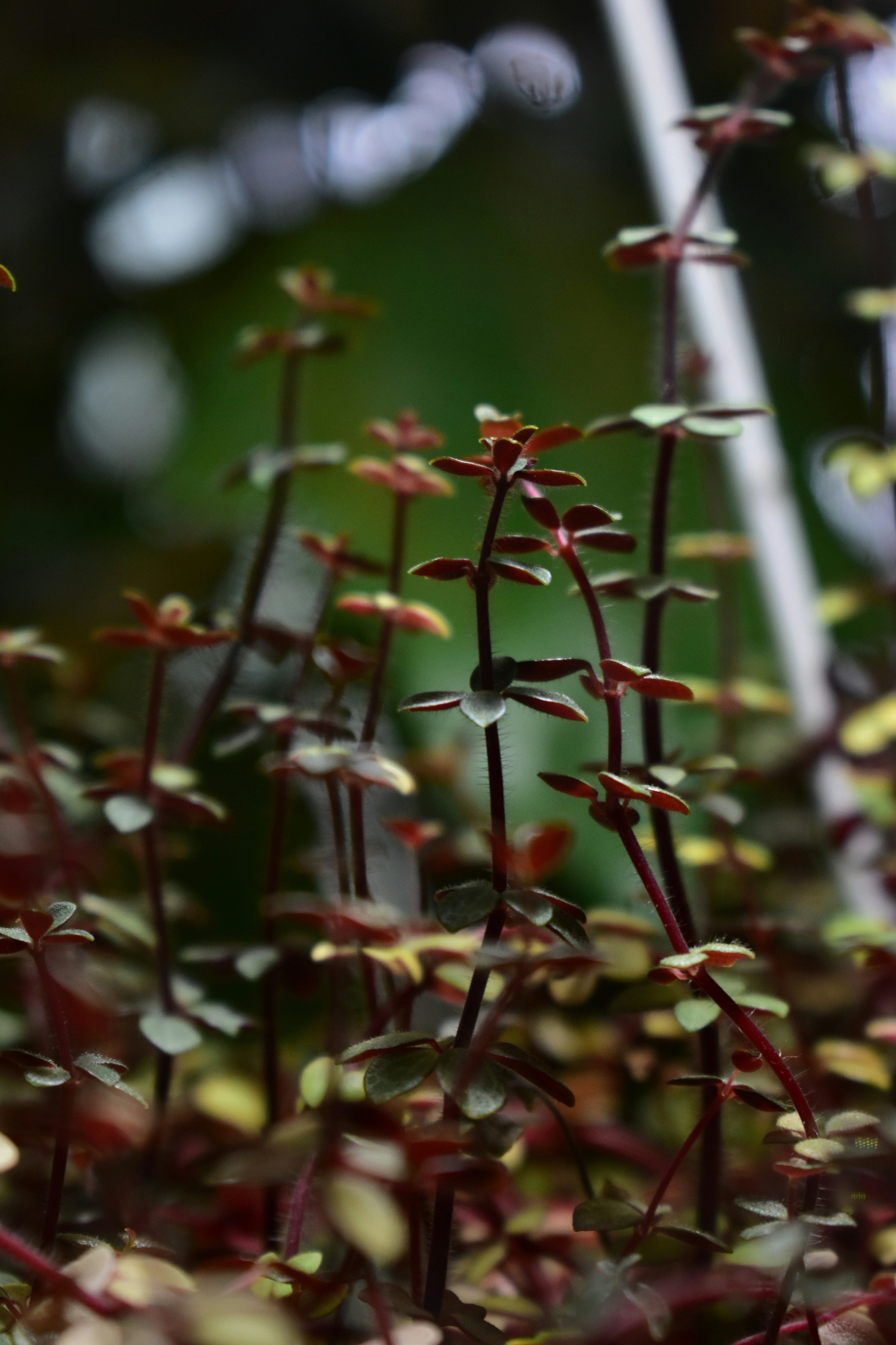 Photo by polina_grishma