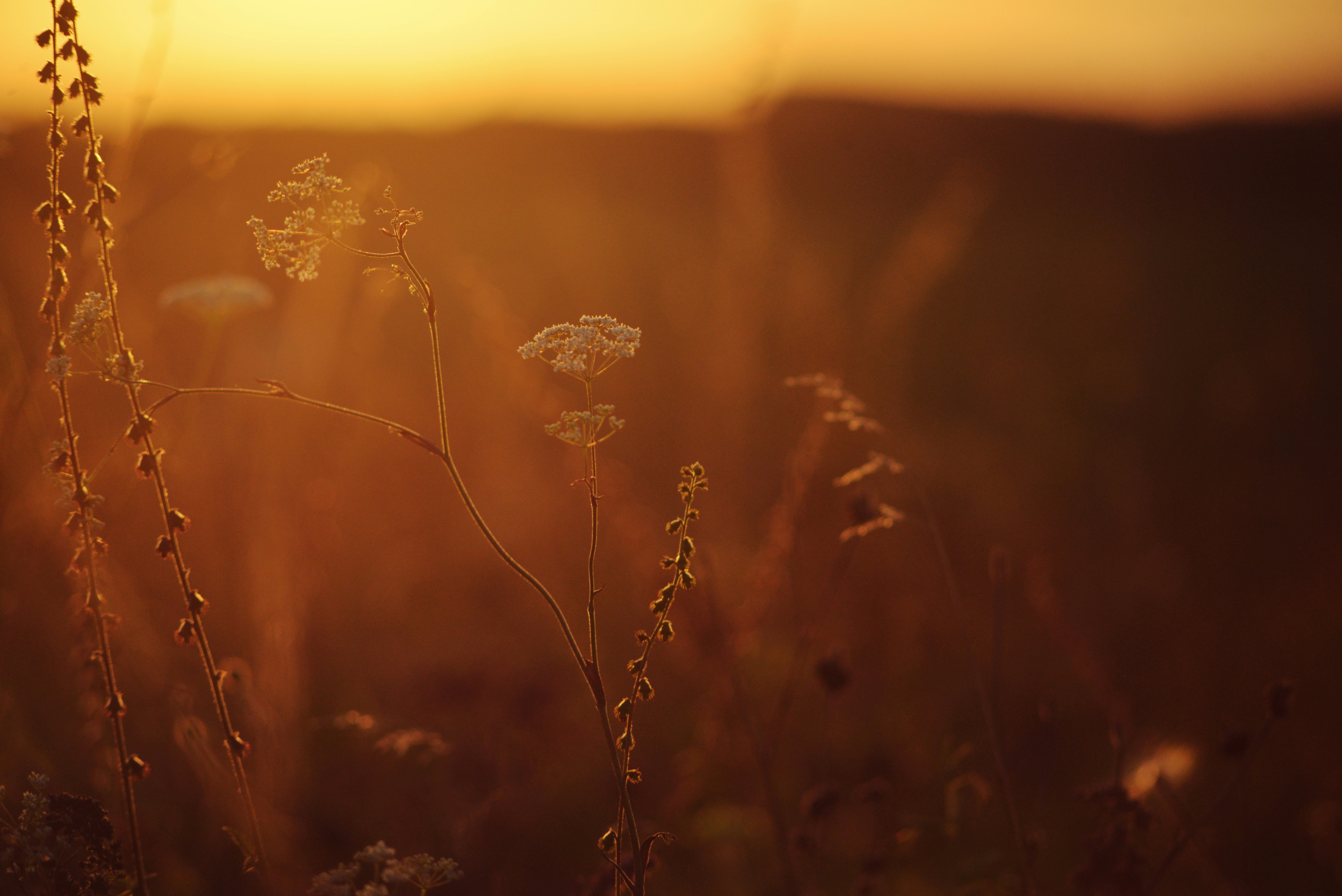 Photo by cherstve_pechivo