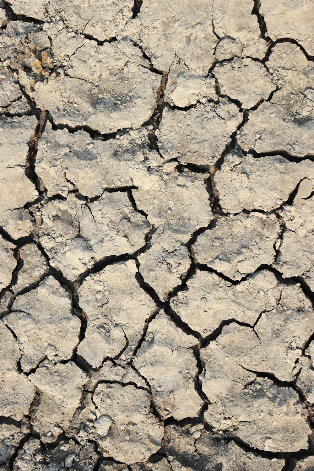 a close up of a dirt ground with cracks