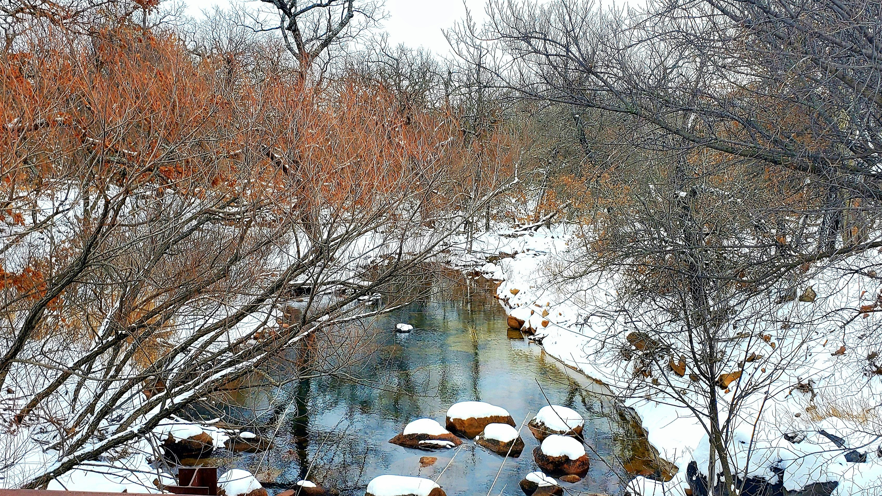 Photo by chillypepper24