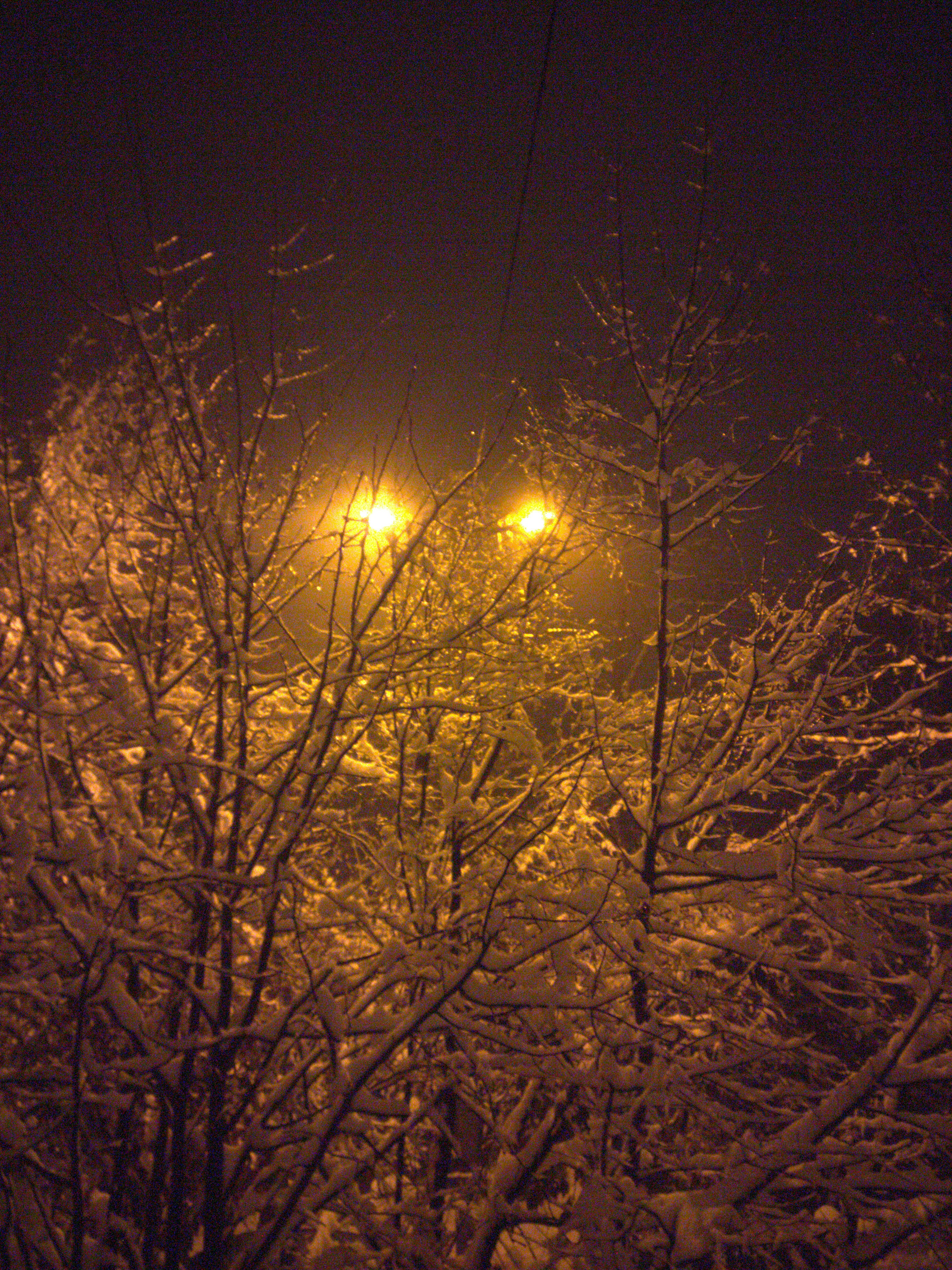 a street light in the middle of a snowy night