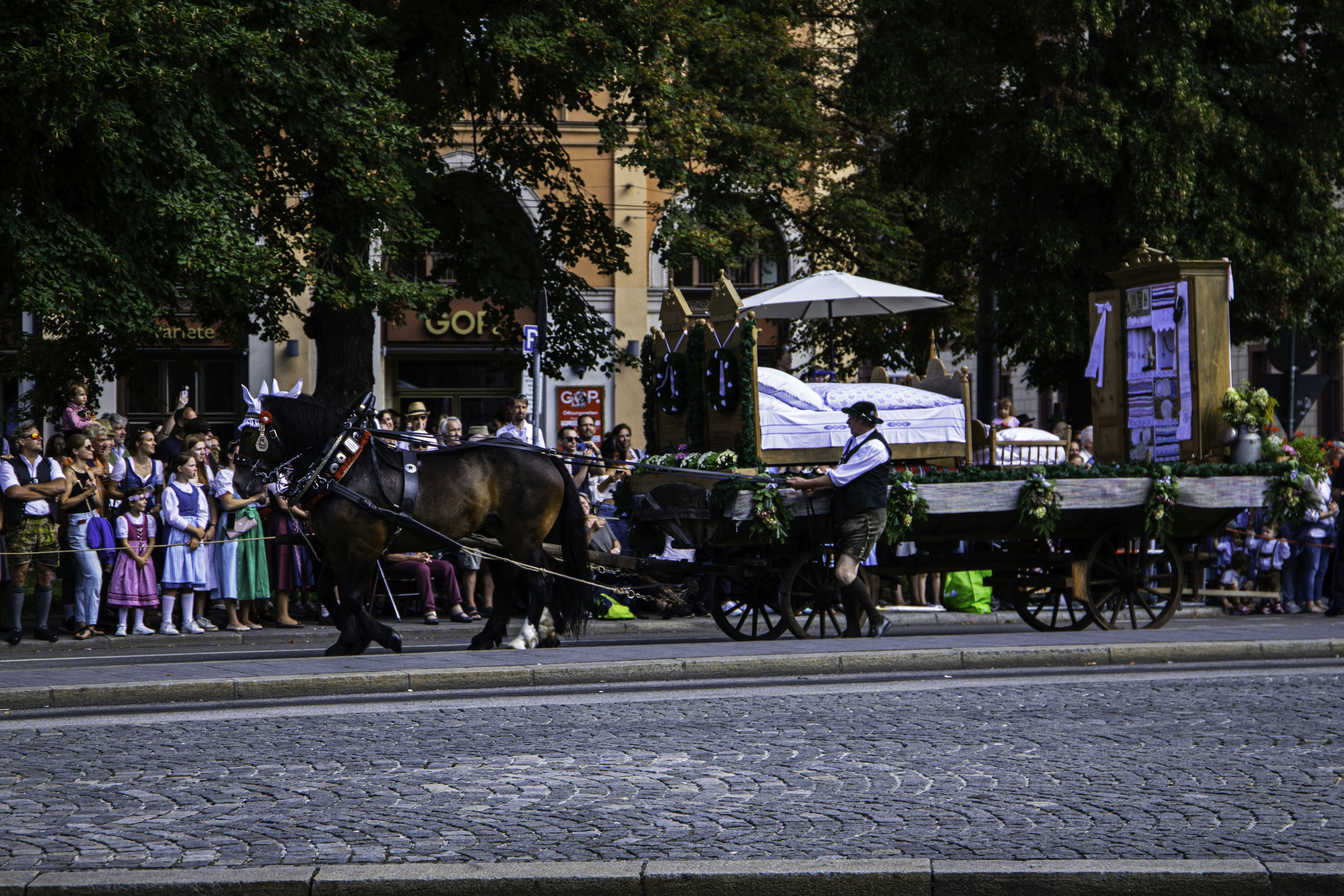 a horse pulling a carriage down a street