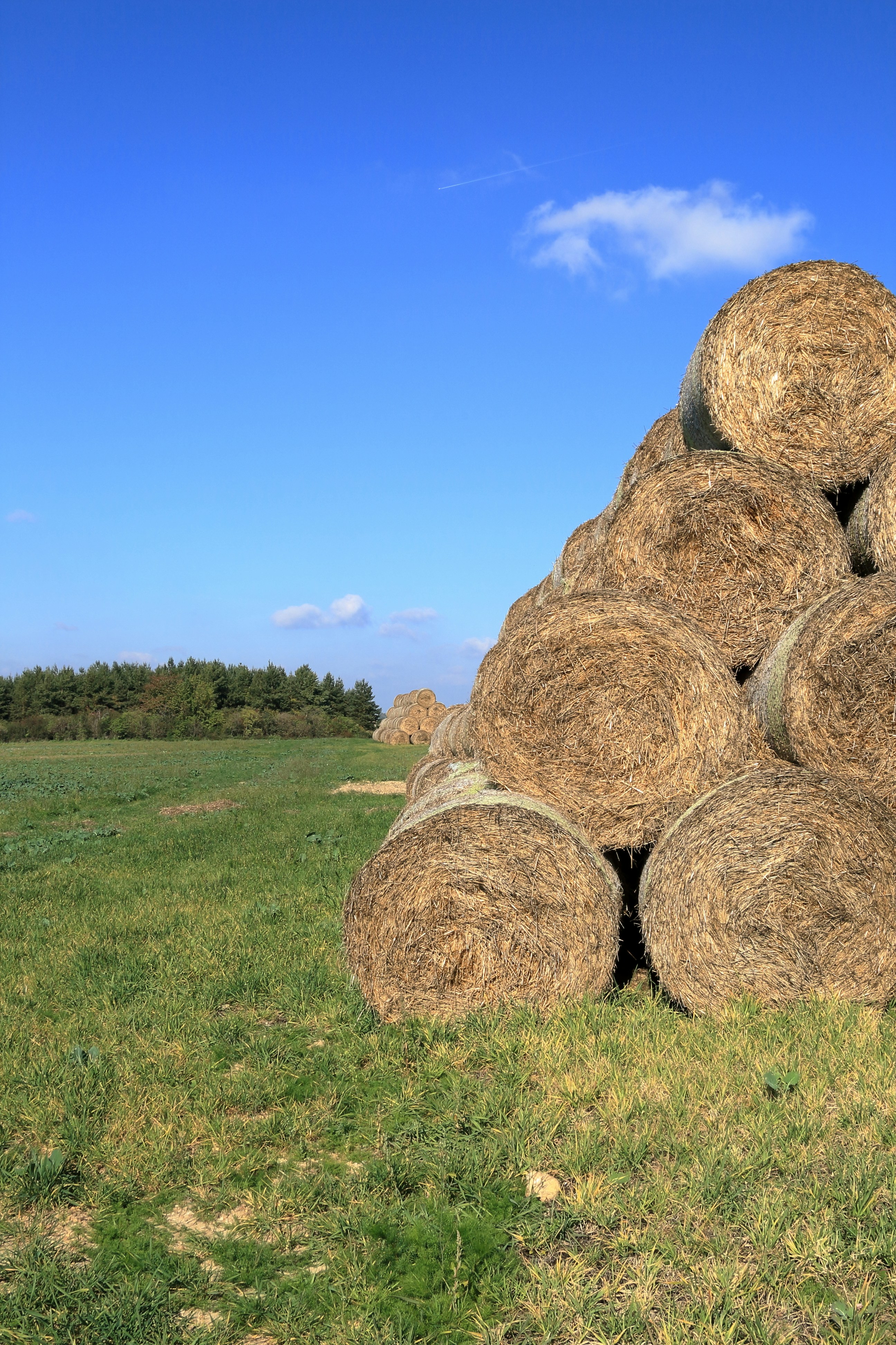 a large pile of hay sitting on top of a lush green field