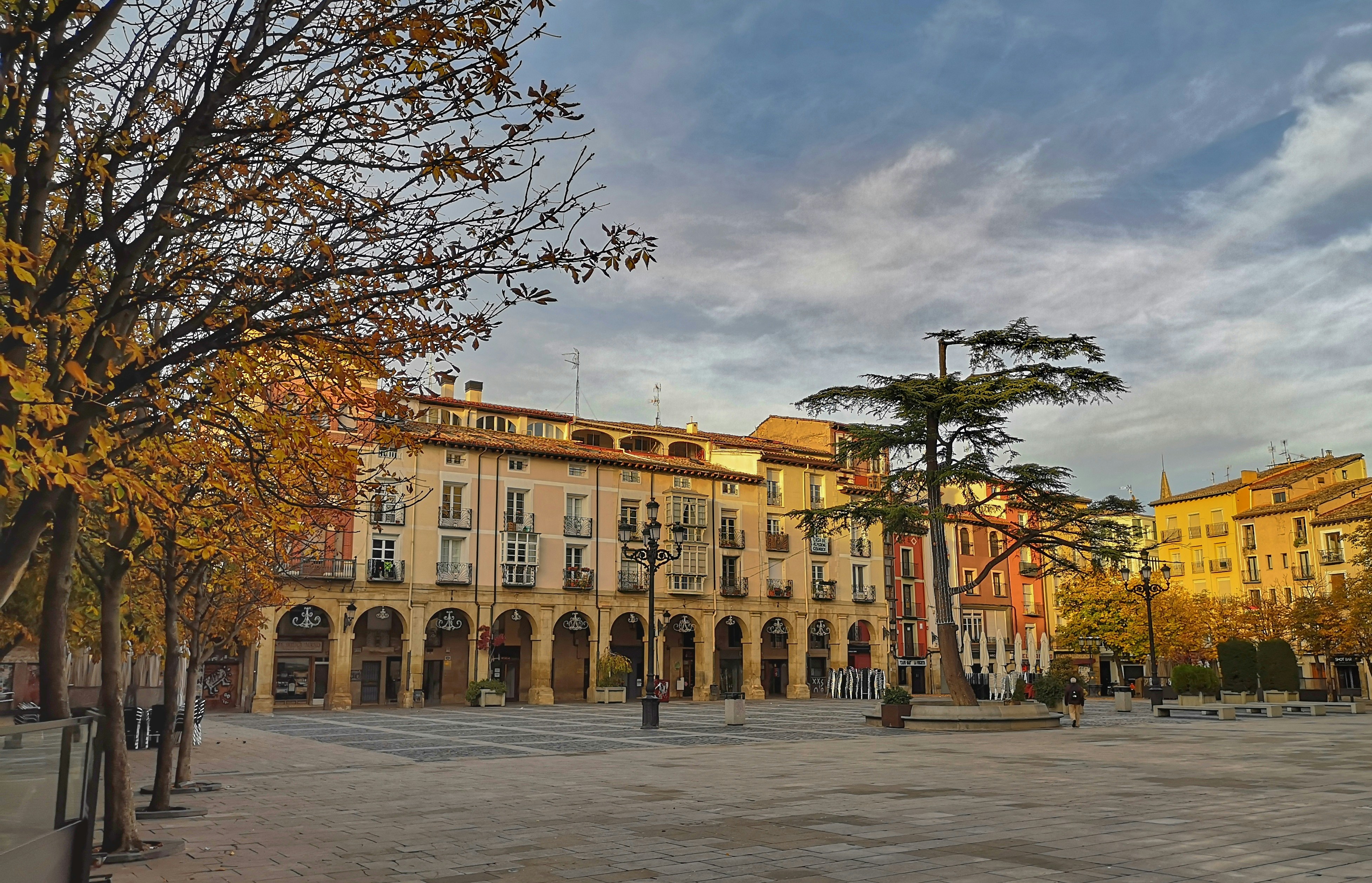 Mejores 30 empresas de servicios de software en Oviedo