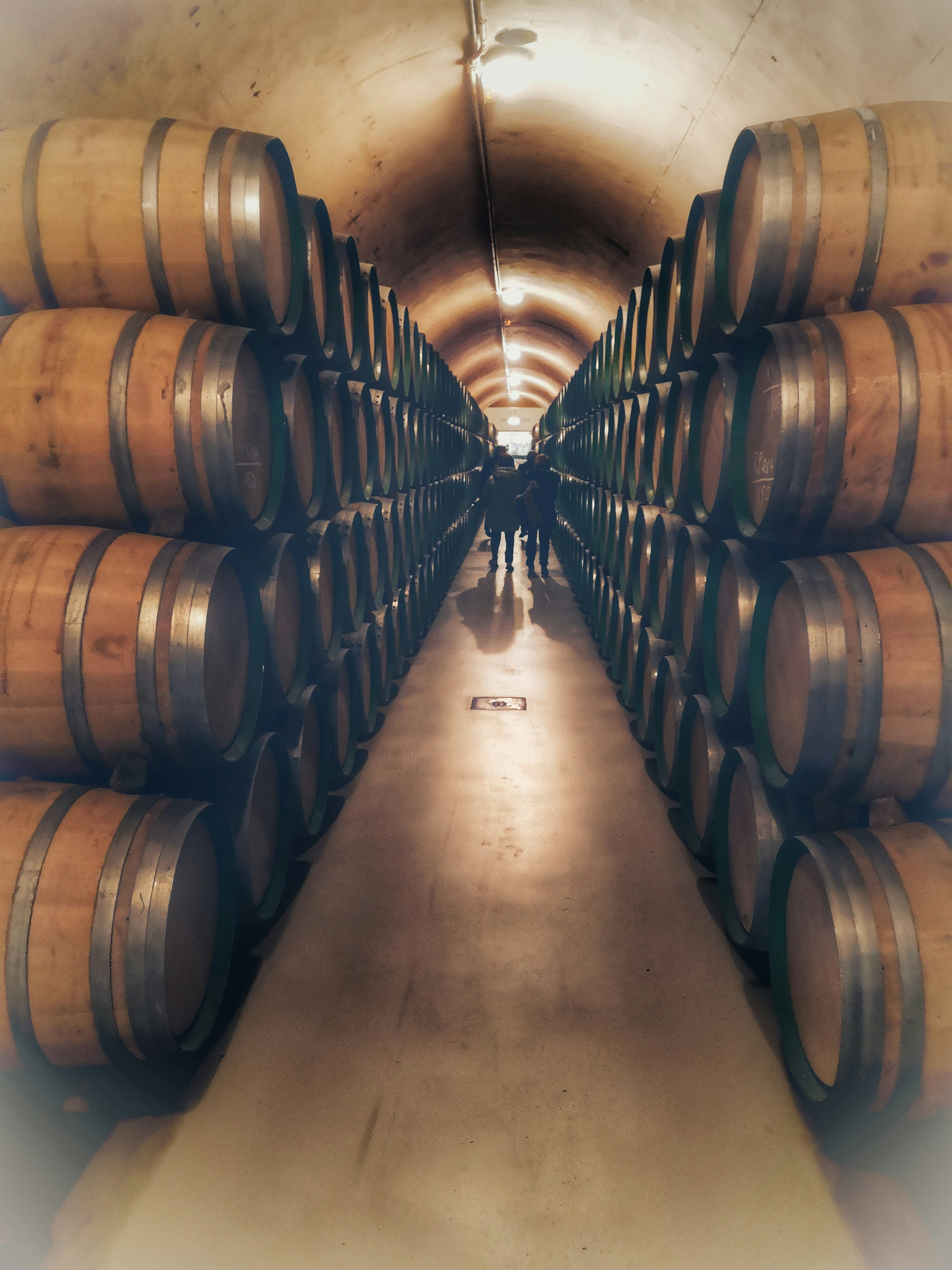 a man standing in a tunnel between rows of wine barrels