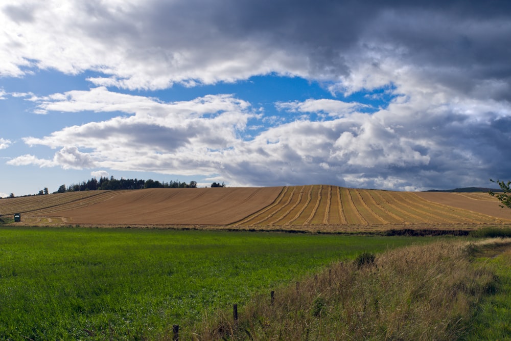 a large field of green grass under a cloudy sky