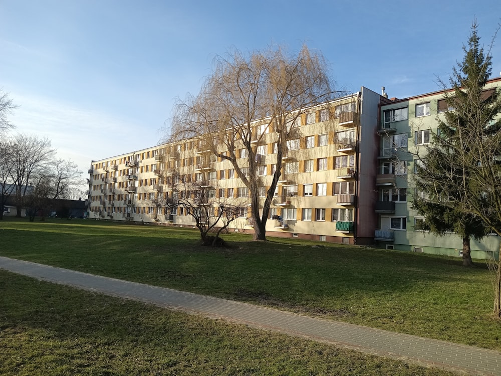 an apartment building with a tree in front of it