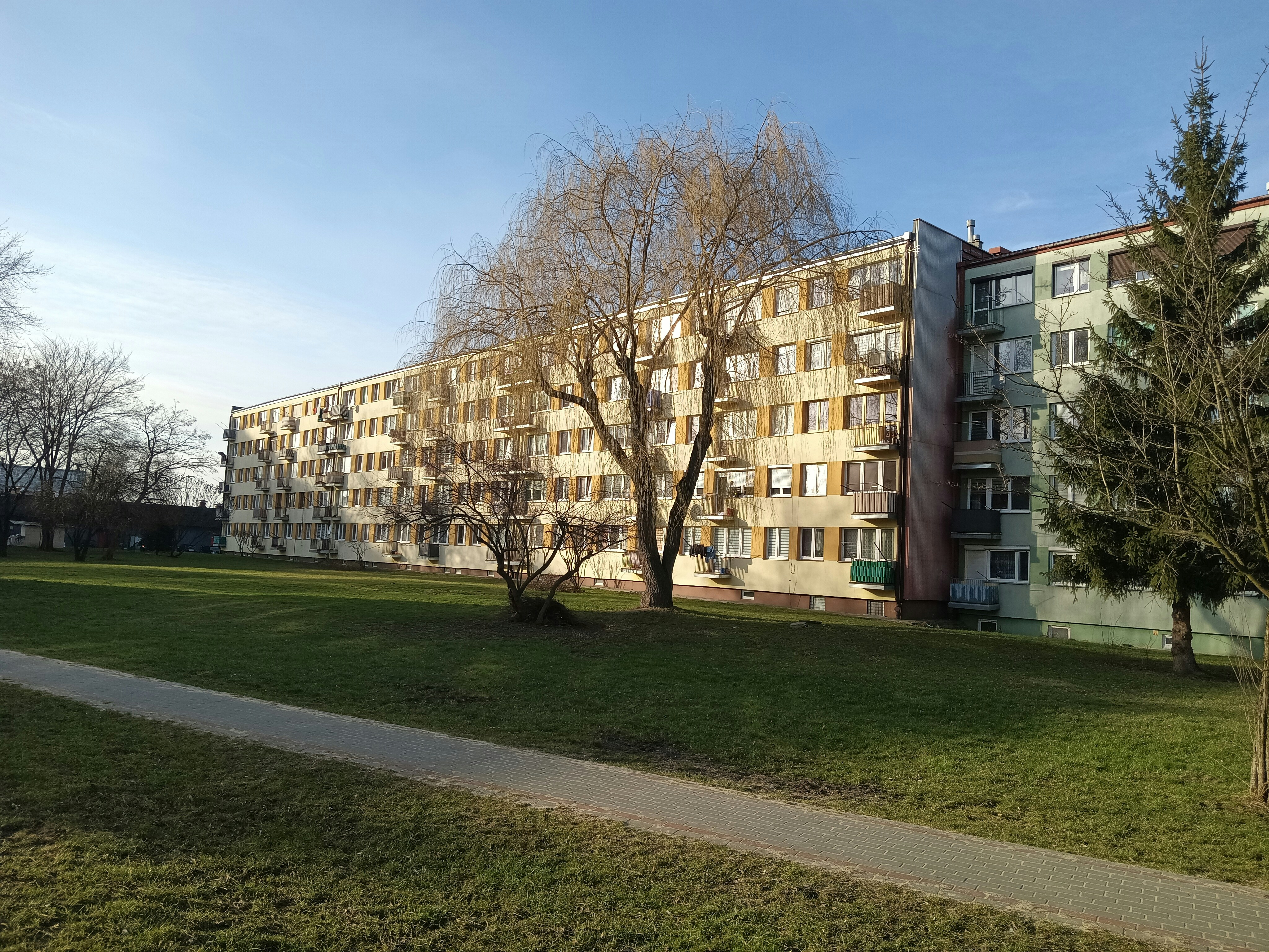 an apartment building with a tree in front of it