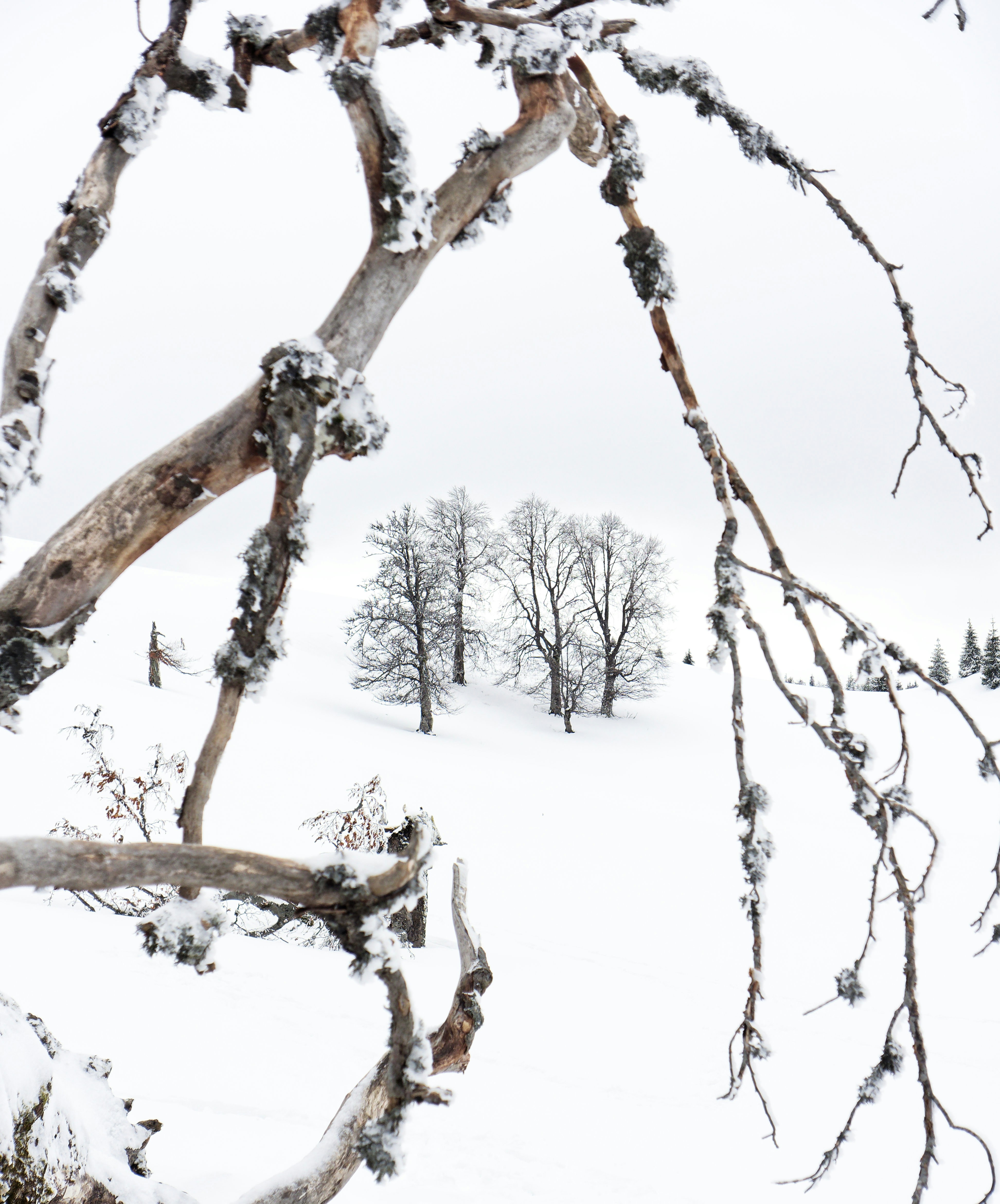 Photo by illes_cristi