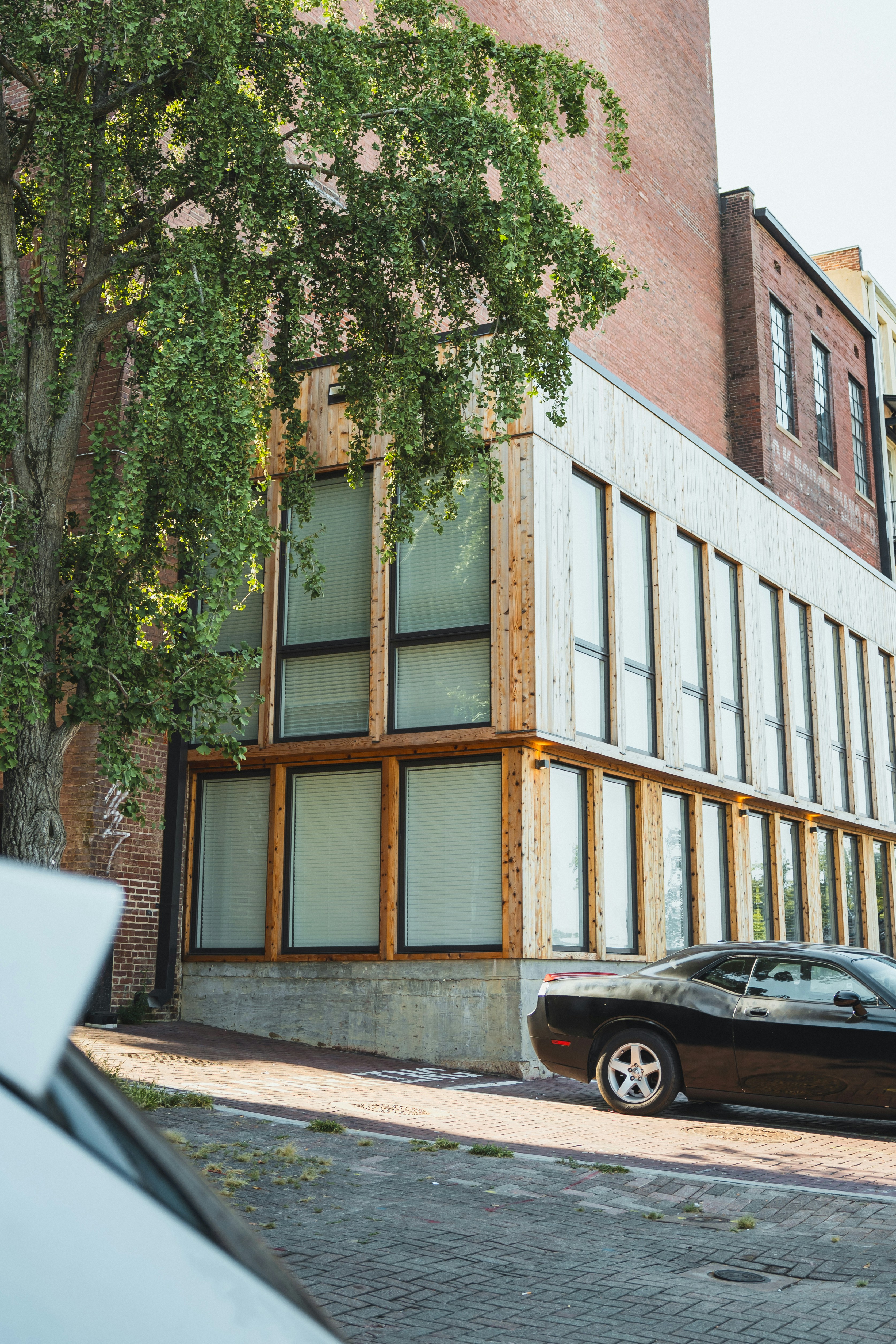 Photo by colemangloverphotography