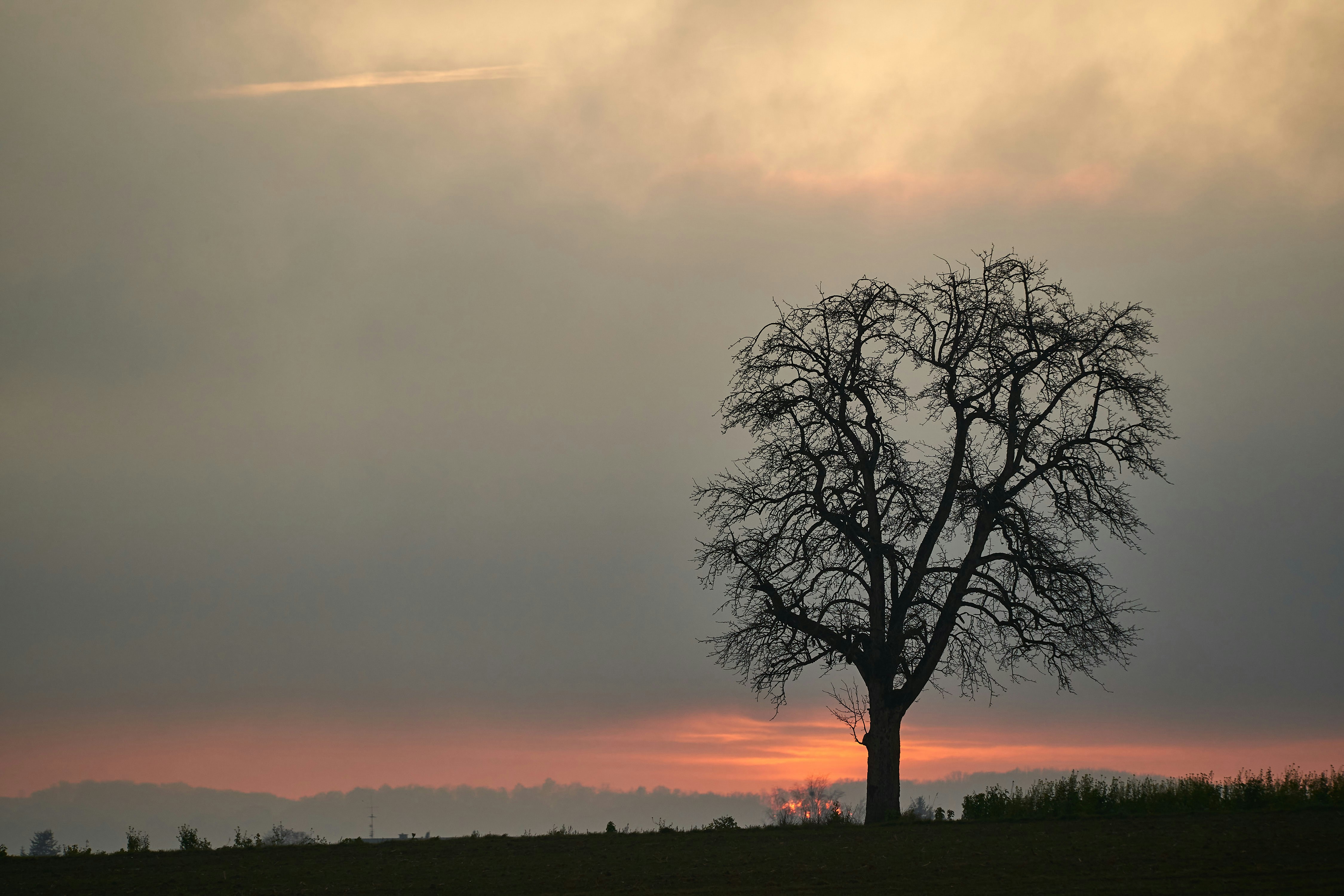 Photo by wolfgang_hasselmann