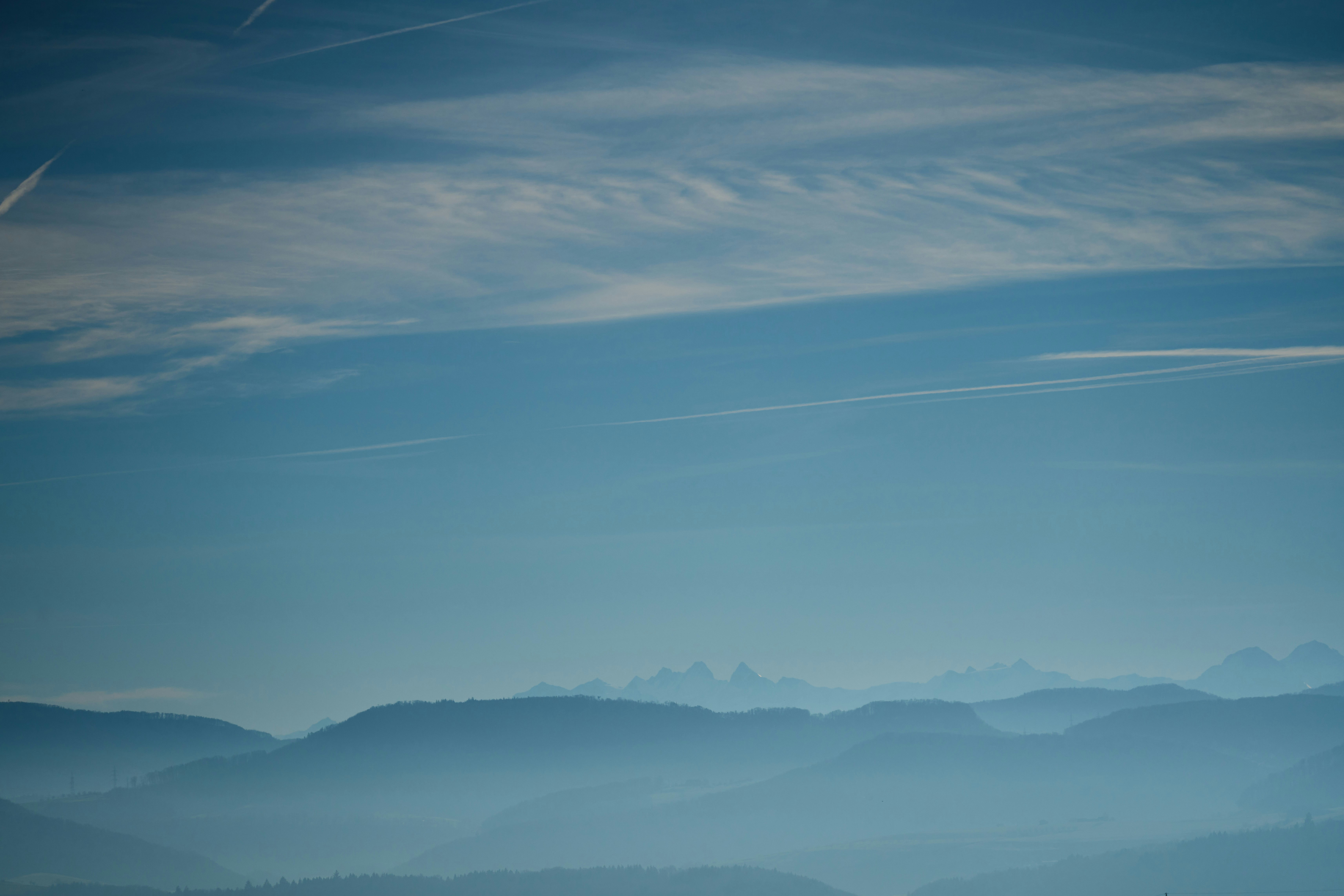 Photo by wolfgang_hasselmann