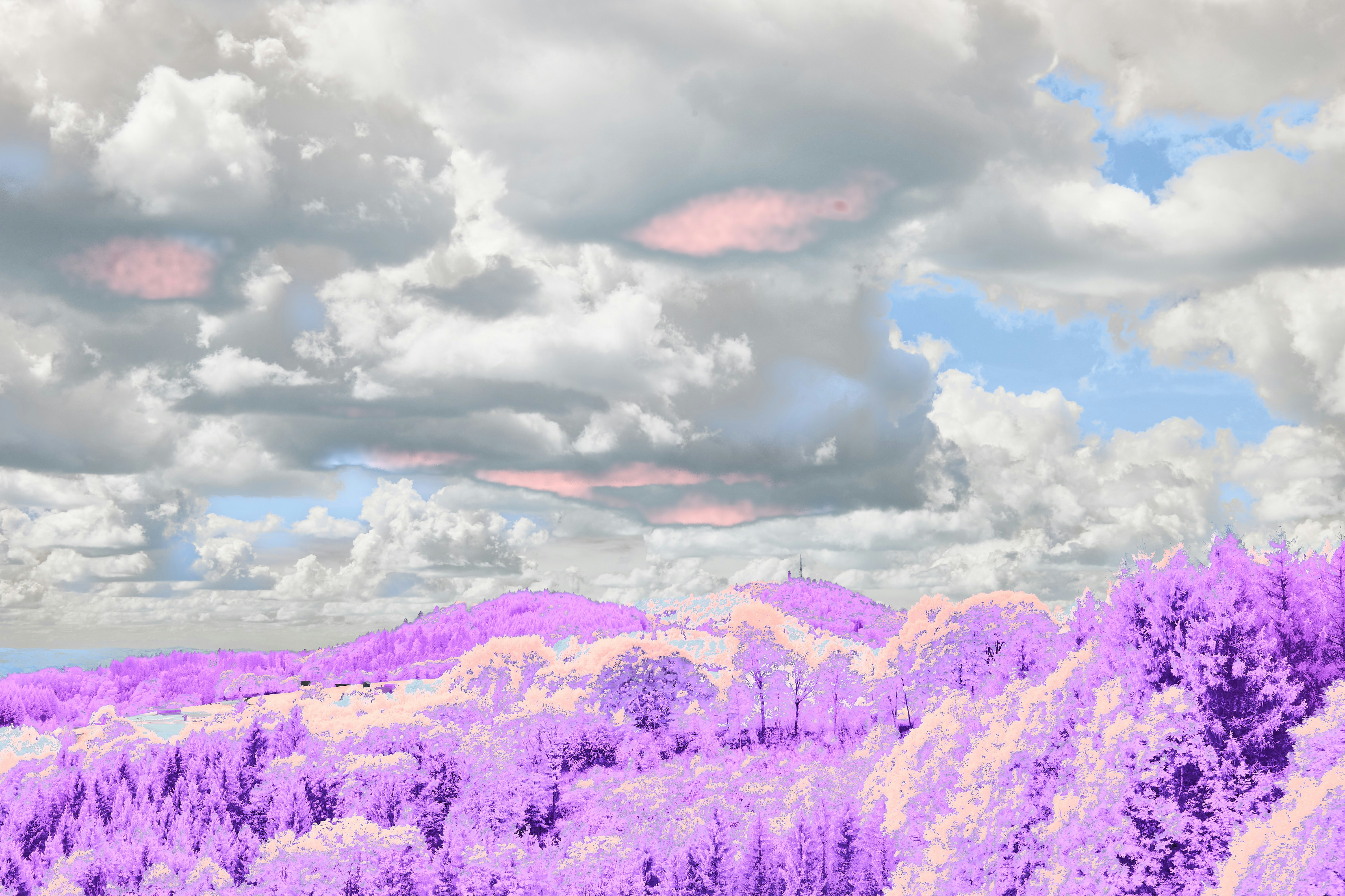 Photo by wolfgang_hasselmann