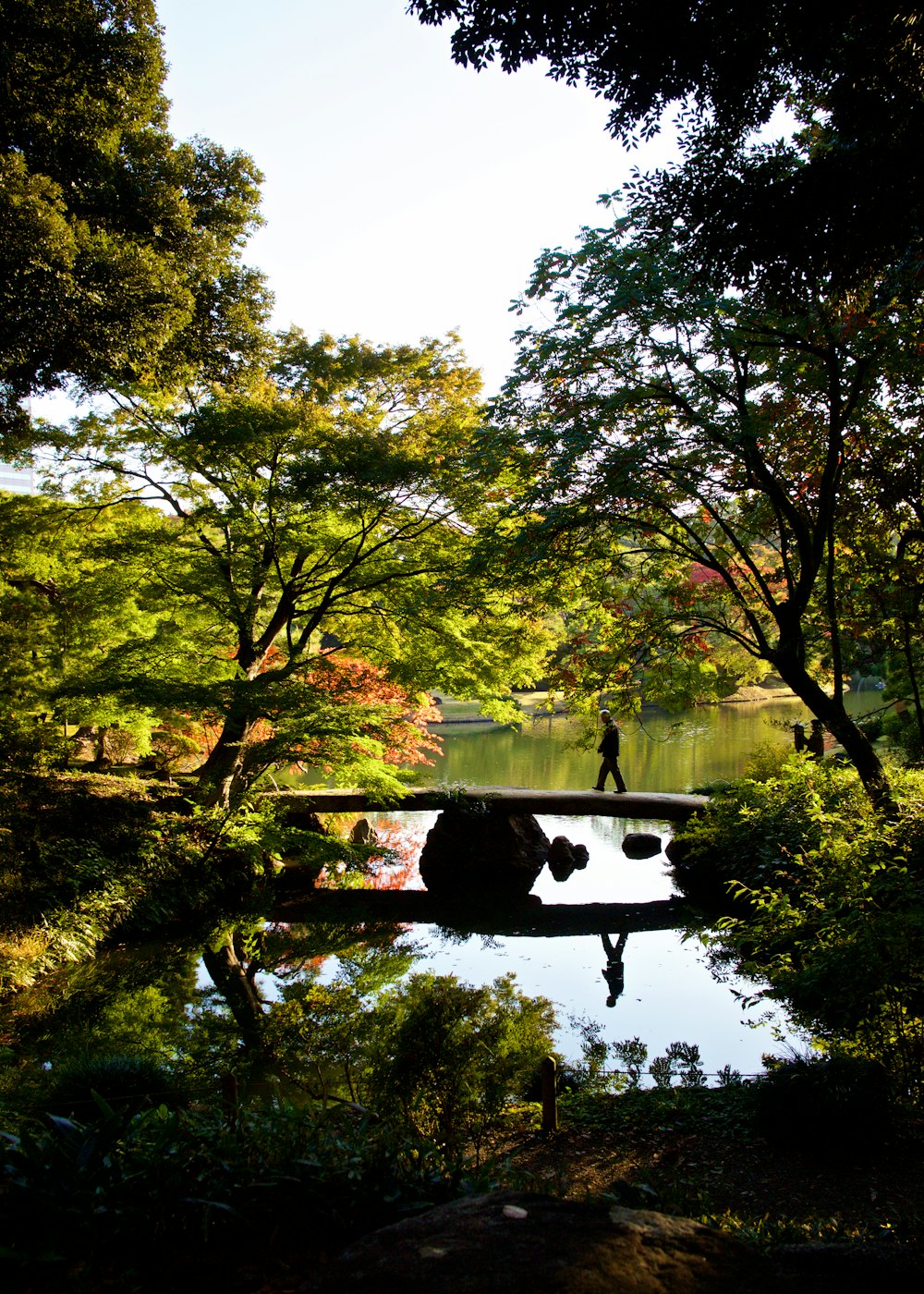 a person walking across a bridge over a lake