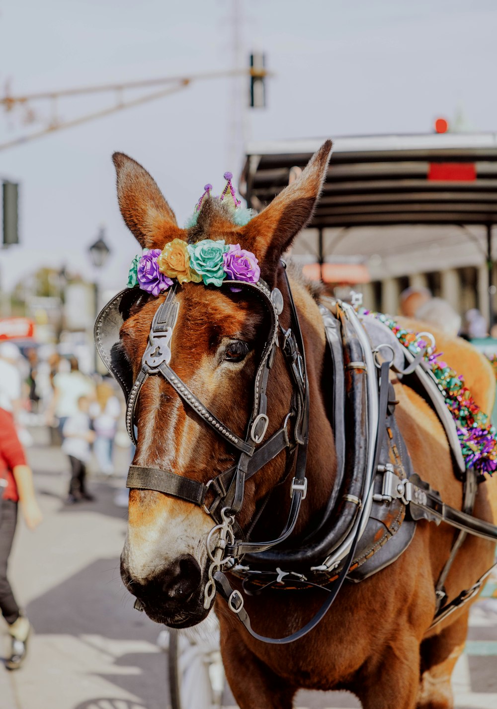 a horse with a flowered headband walking down the street