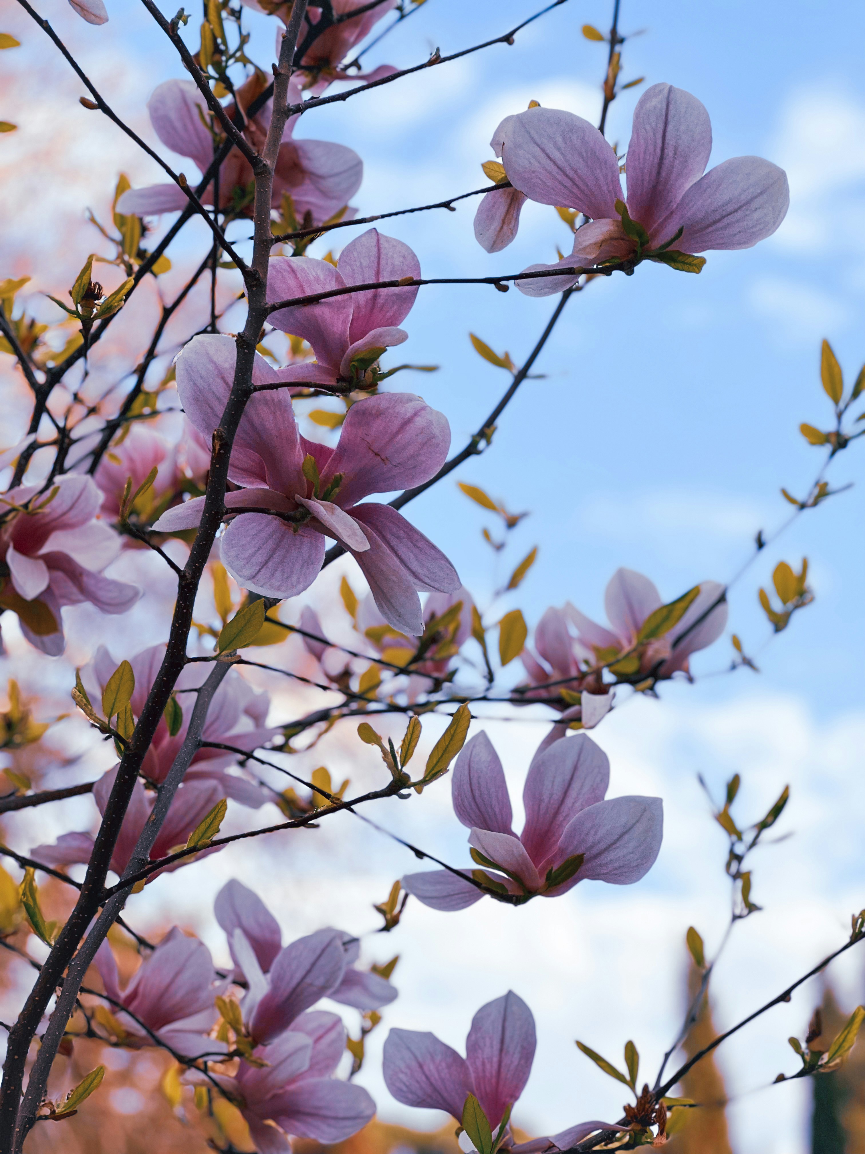 Photo by arslanbekova