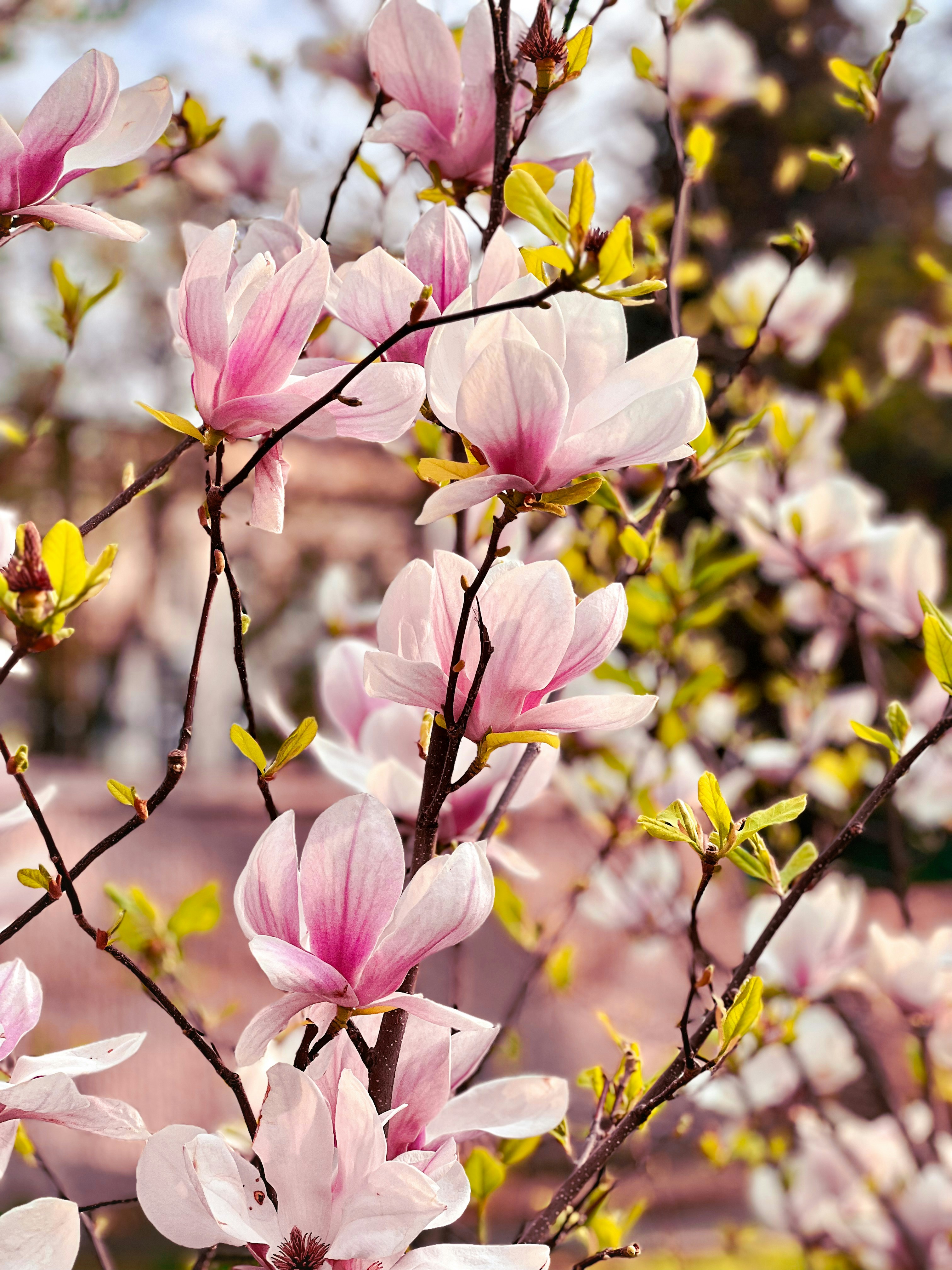 Photo by arslanbekova