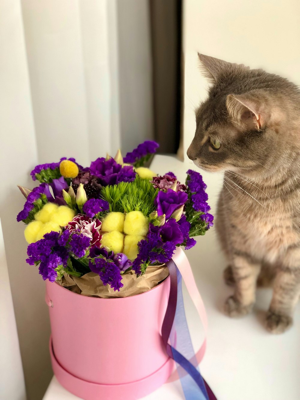 a cat sitting on a table next to a flower pot