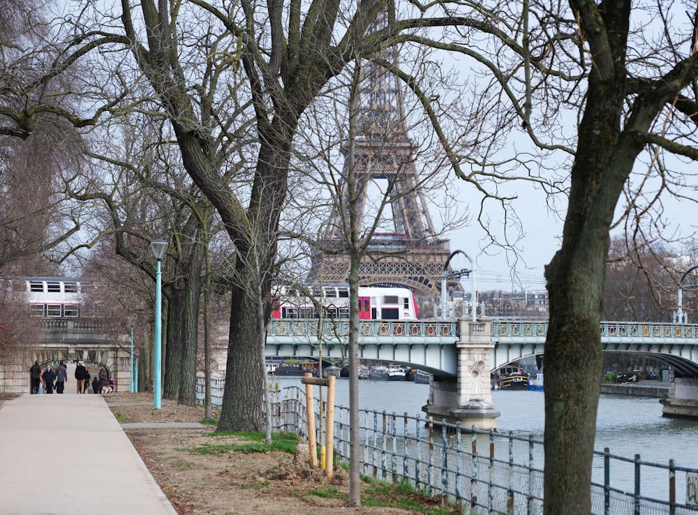 the eiffel tower towering over the city of paris