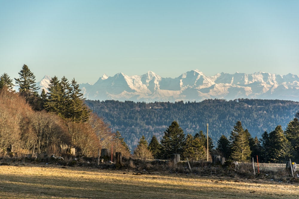 une vue sur une chaîne de montagnes au loin