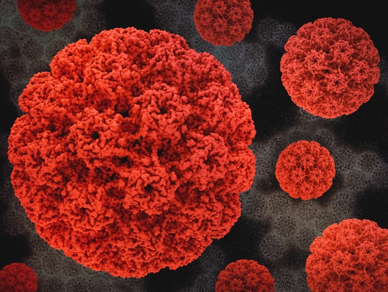 HPV Bilgilendirme ve Test