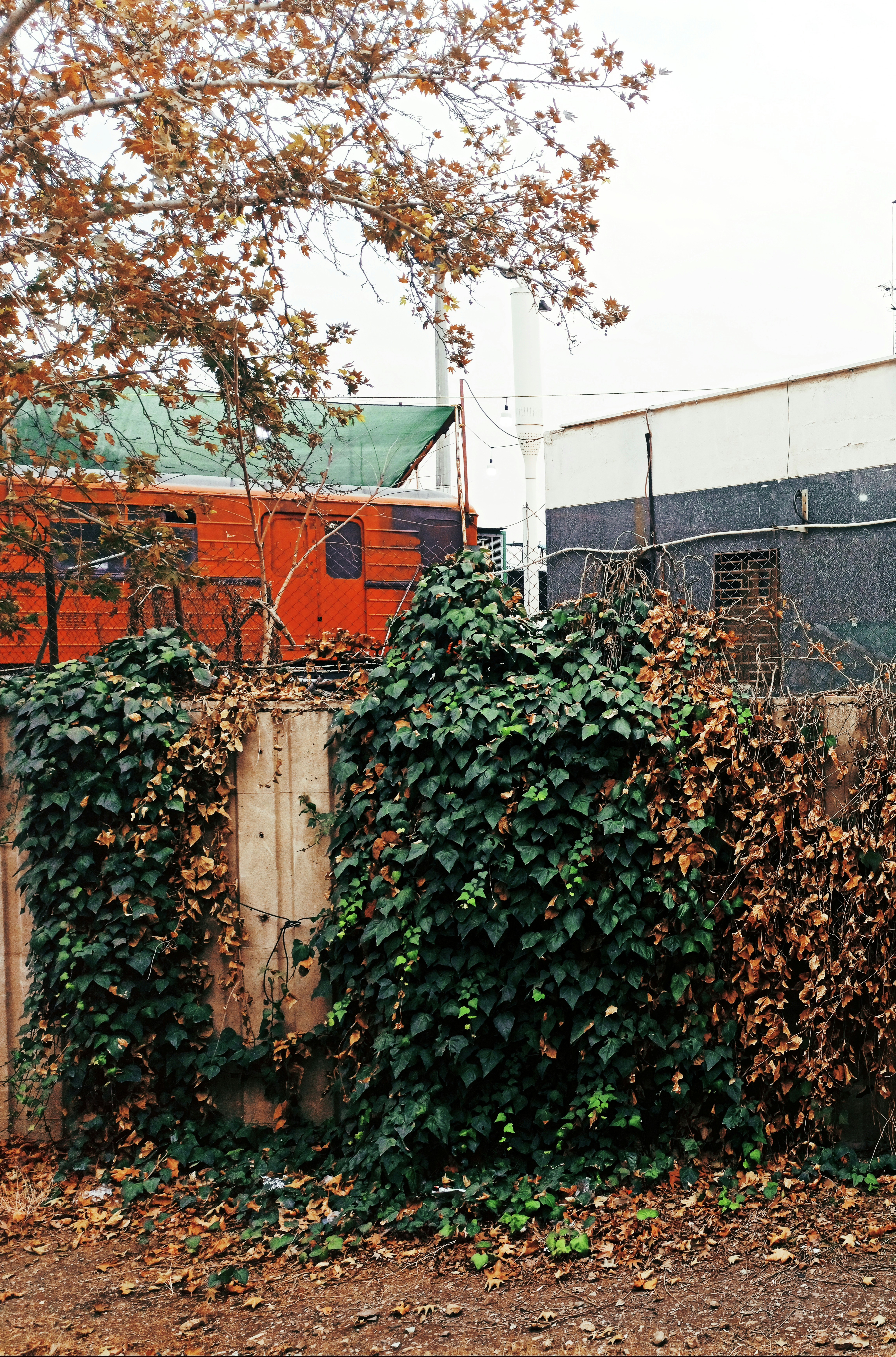 Photo by rashedpaykary