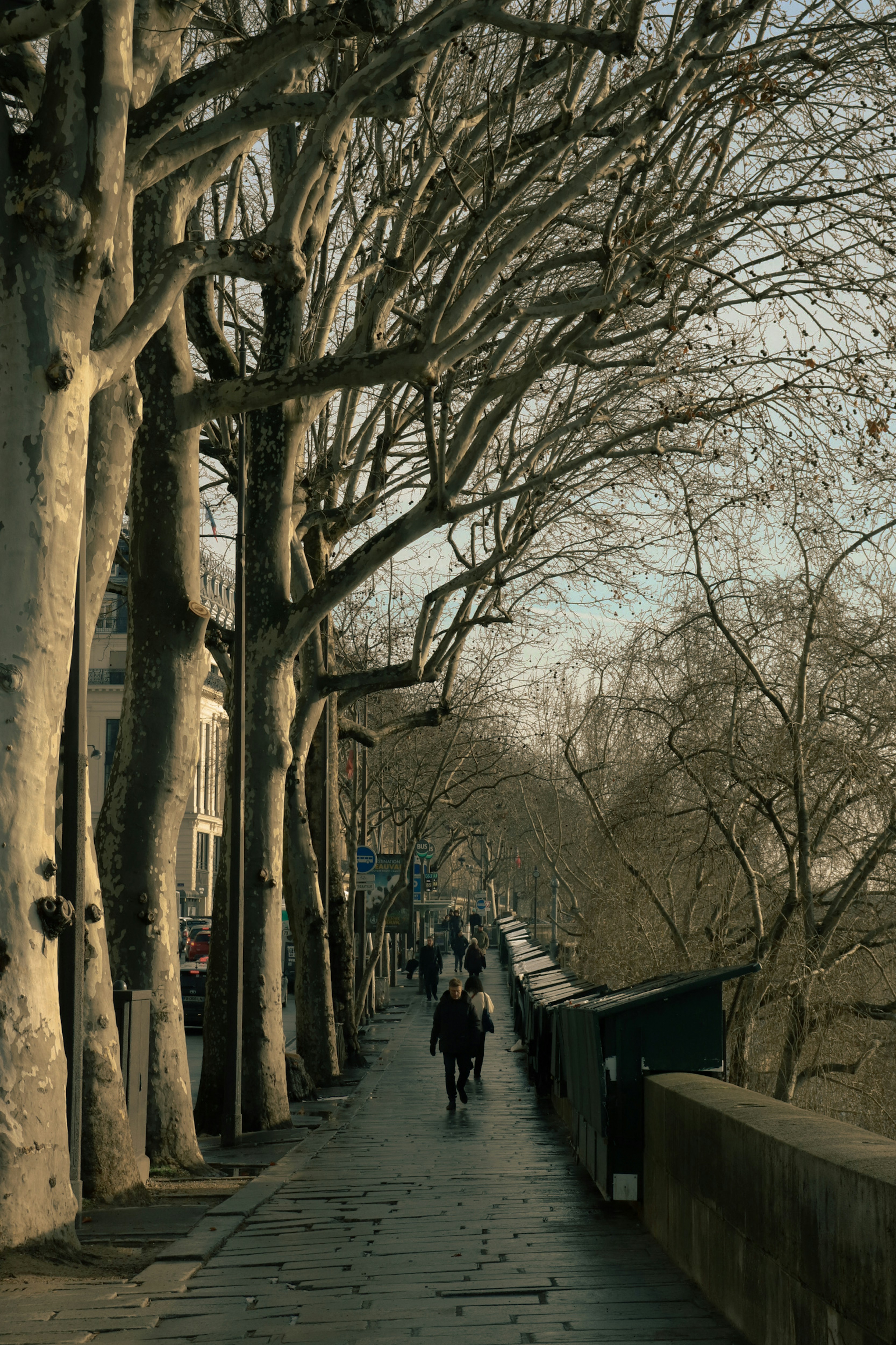 a couple of people walking down a sidewalk next to trees