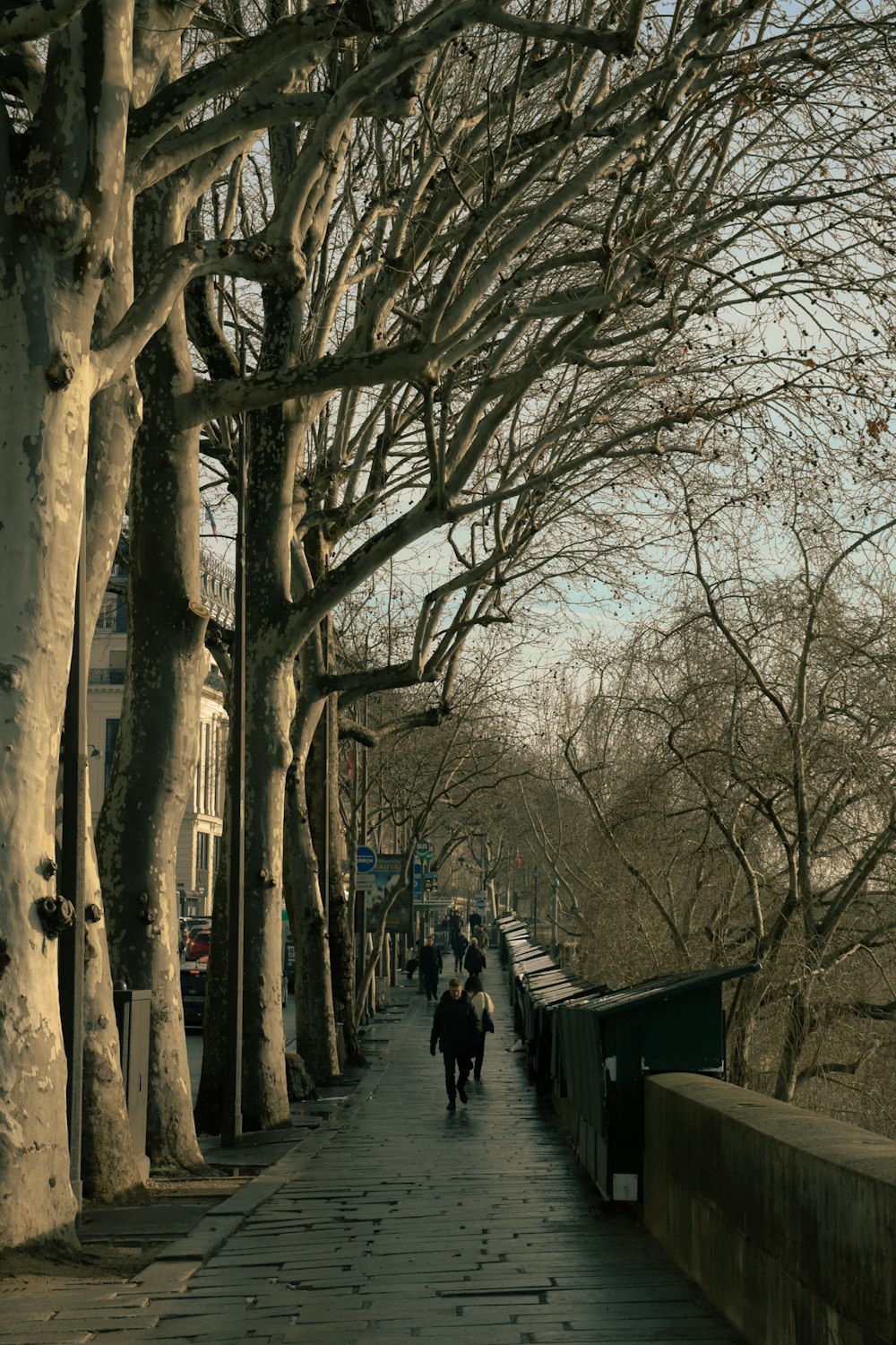 a couple of people walking down a sidewalk next to trees