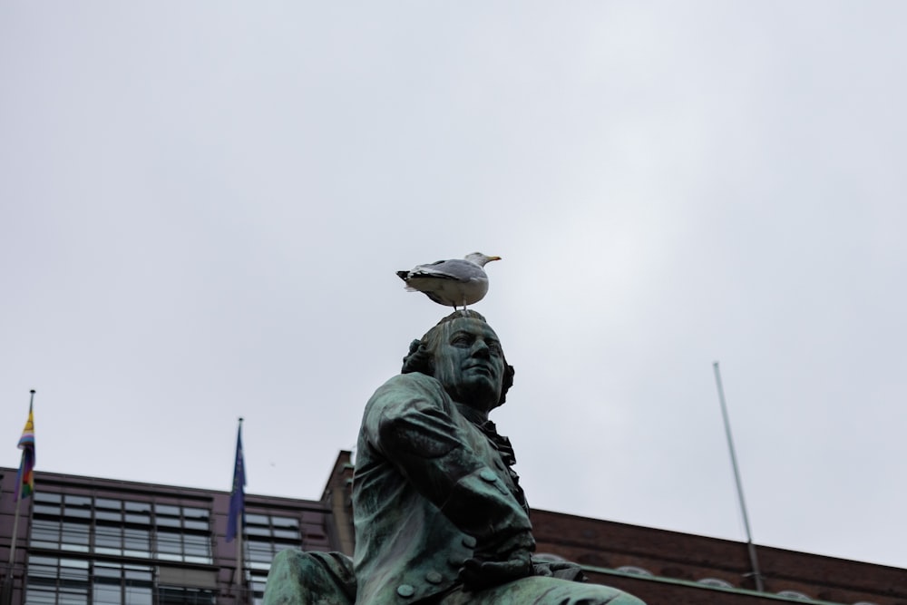 a bird sitting on top of a statue of a man