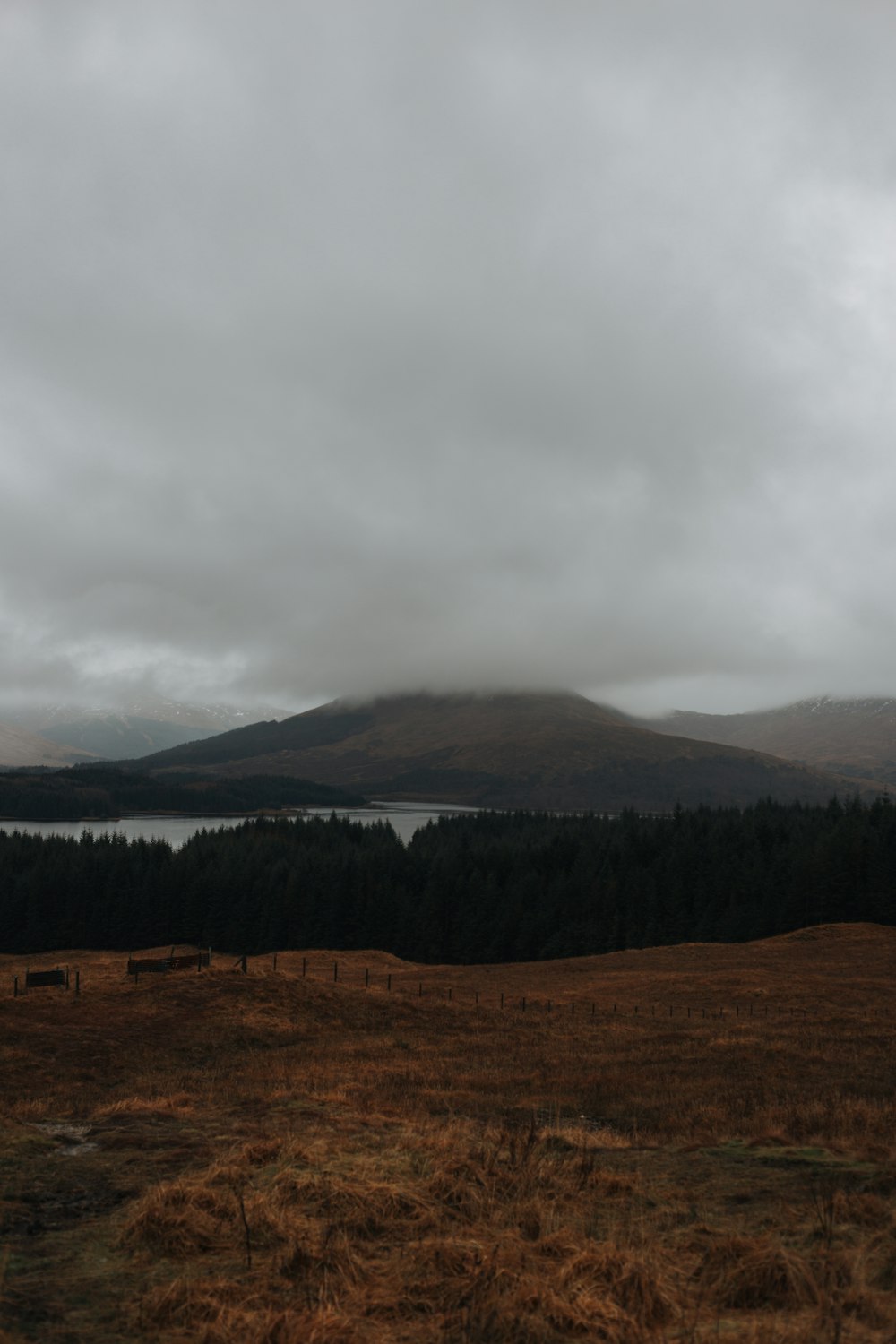 a grassy field with a lake and mountains in the background