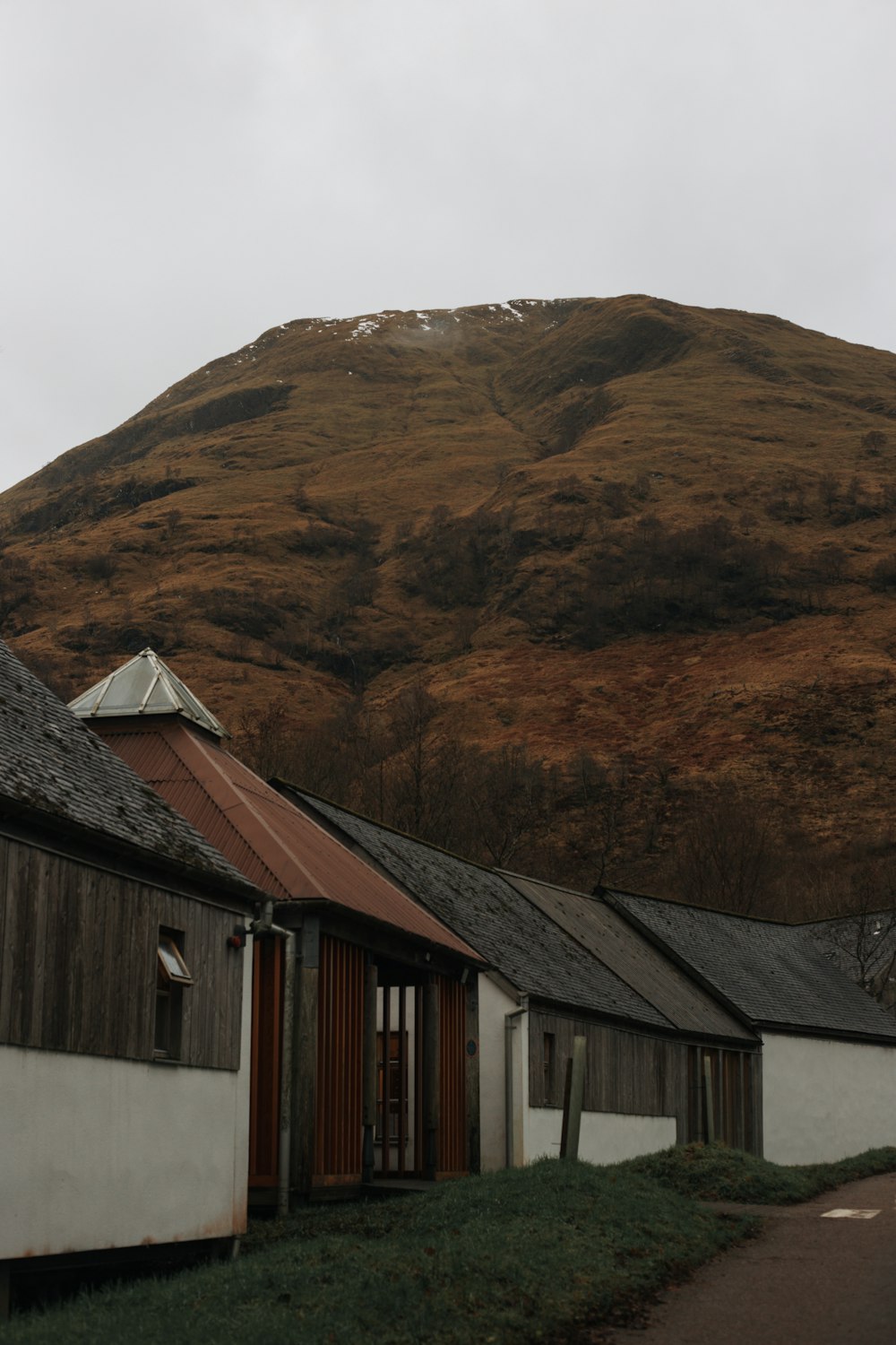 a row of houses with a mountain in the background