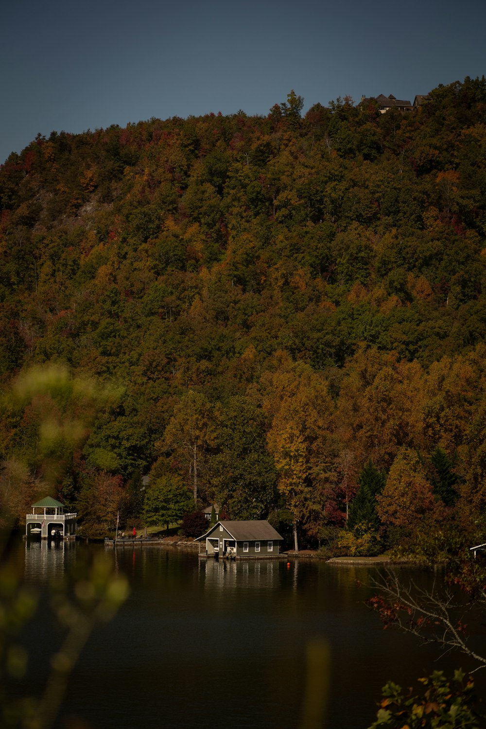 a lake surrounded by a forest covered in trees