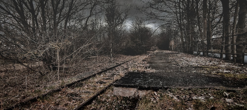 a train track in the middle of a forest