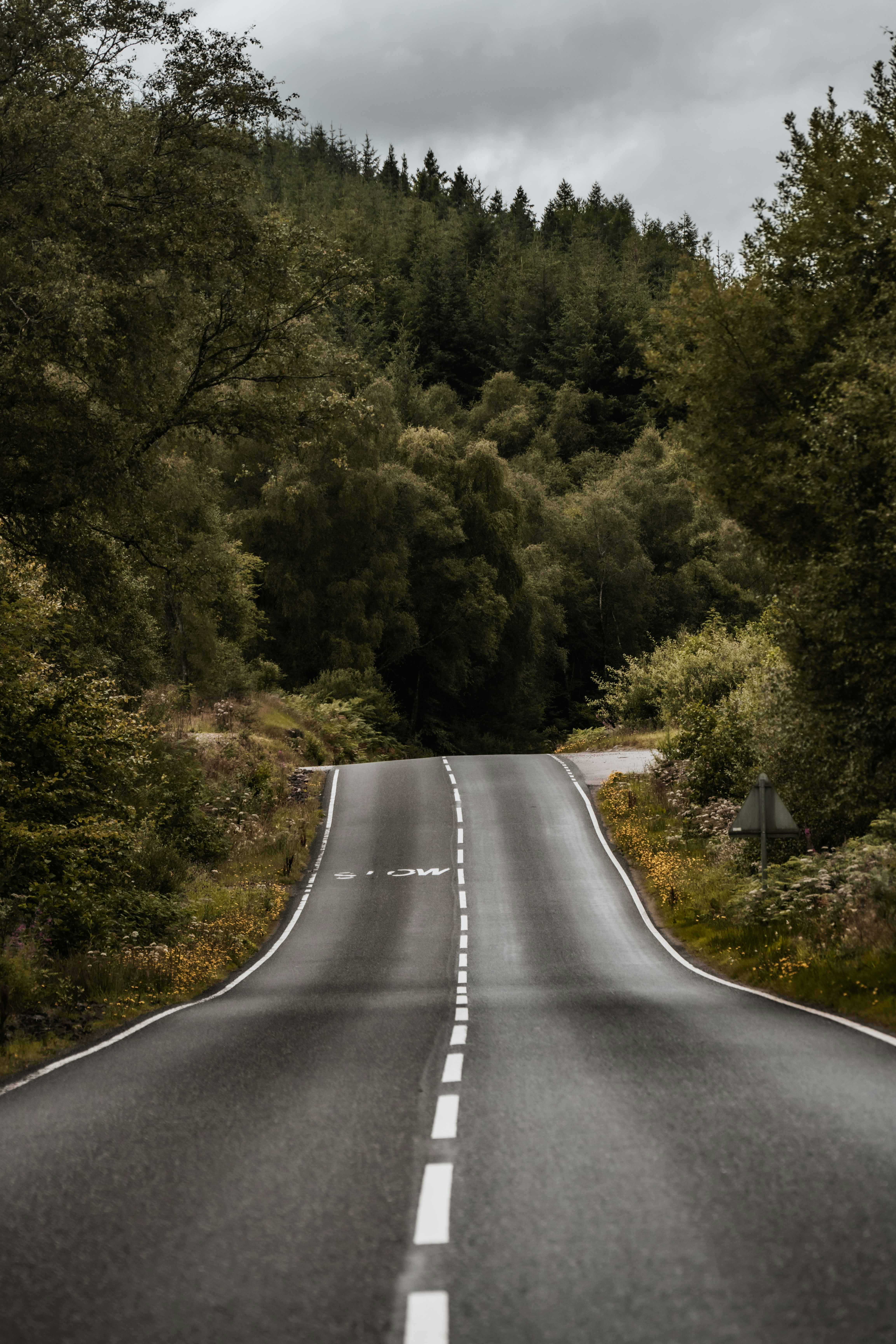 Photo by winstontjia